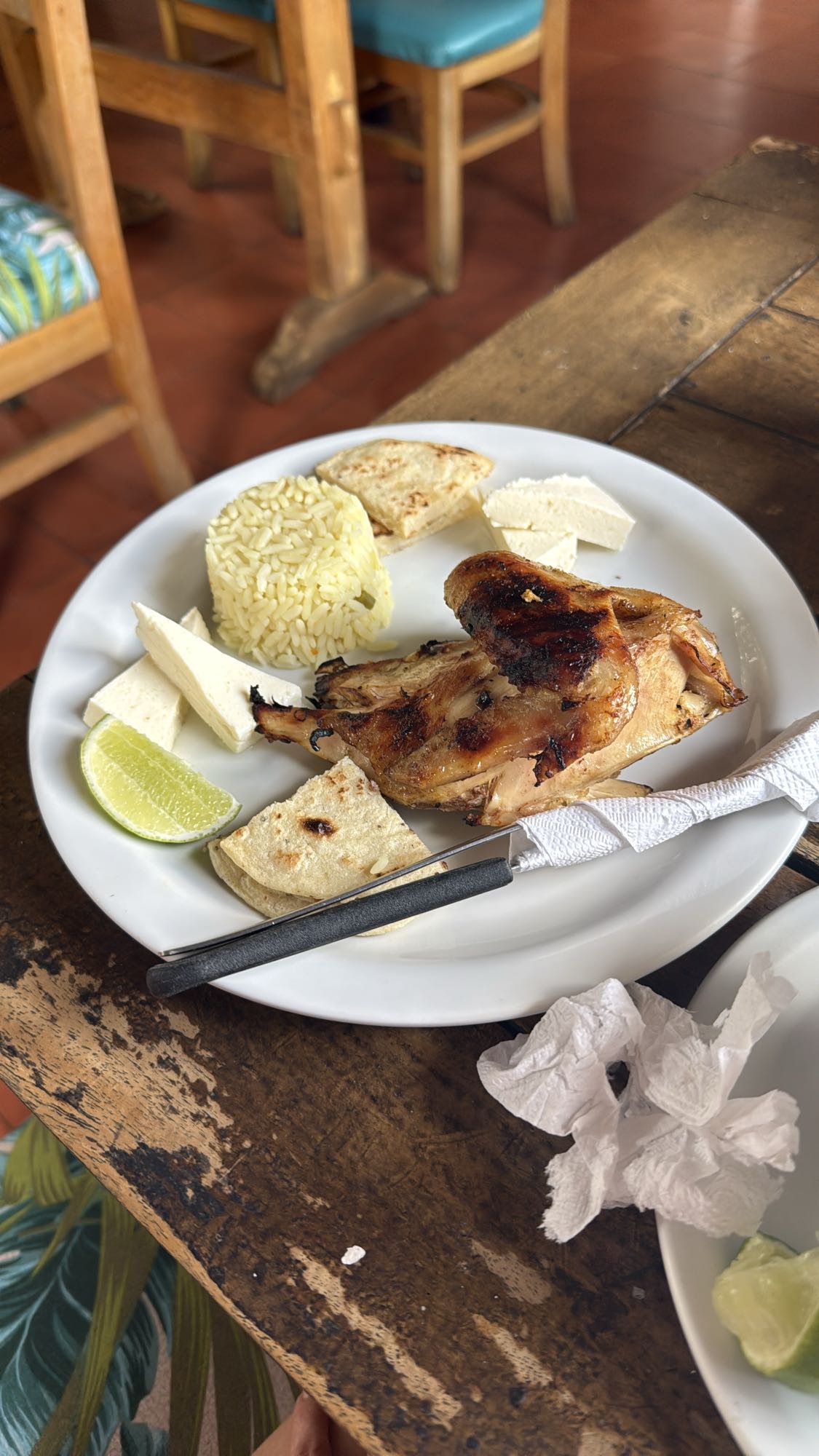 Pollo con arroz y queso