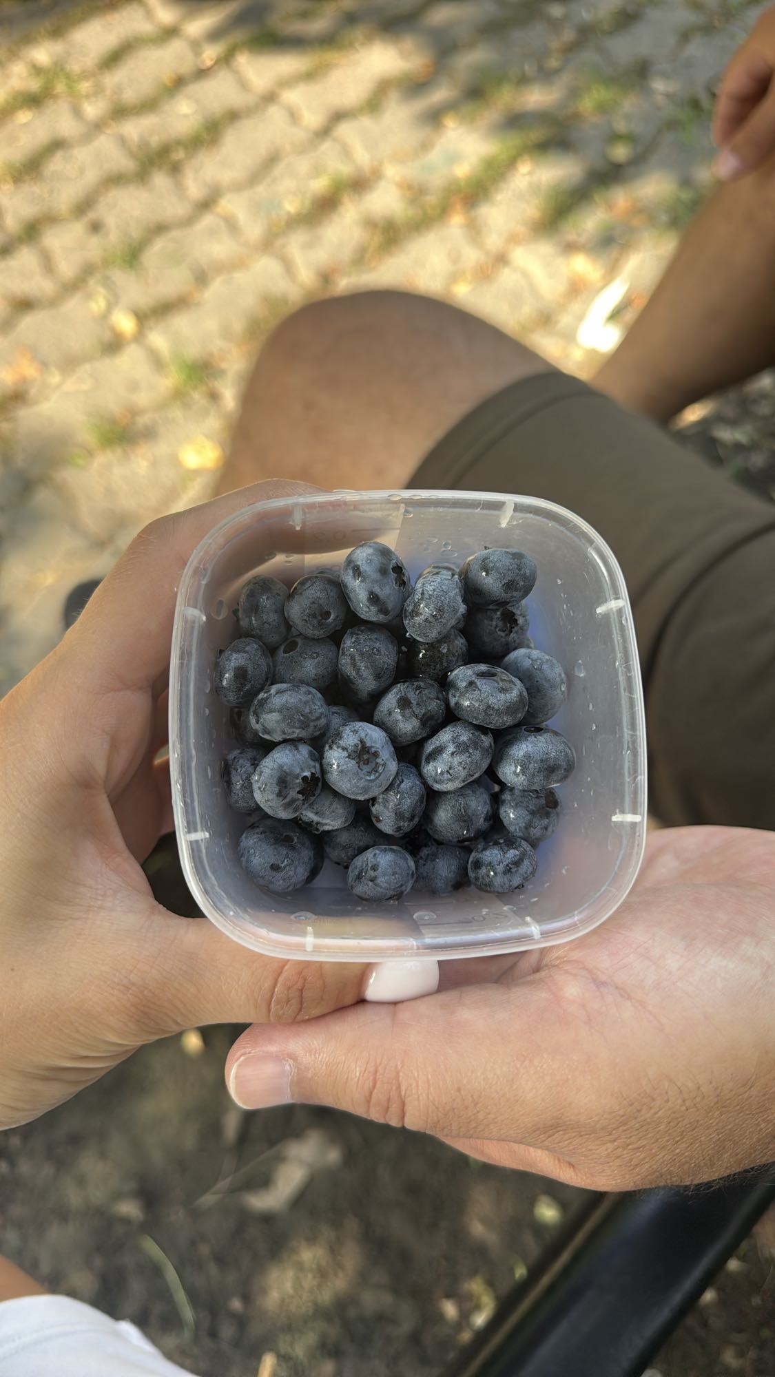 Fresh Blueberries Snack