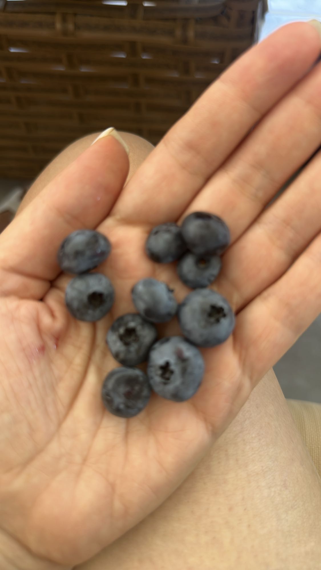 Handful of Blueberries