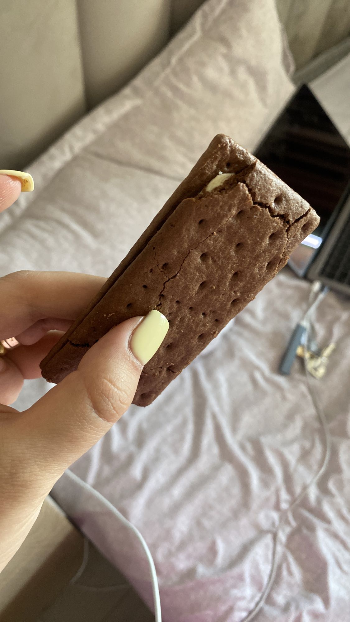 chocolate ice cream sandwich