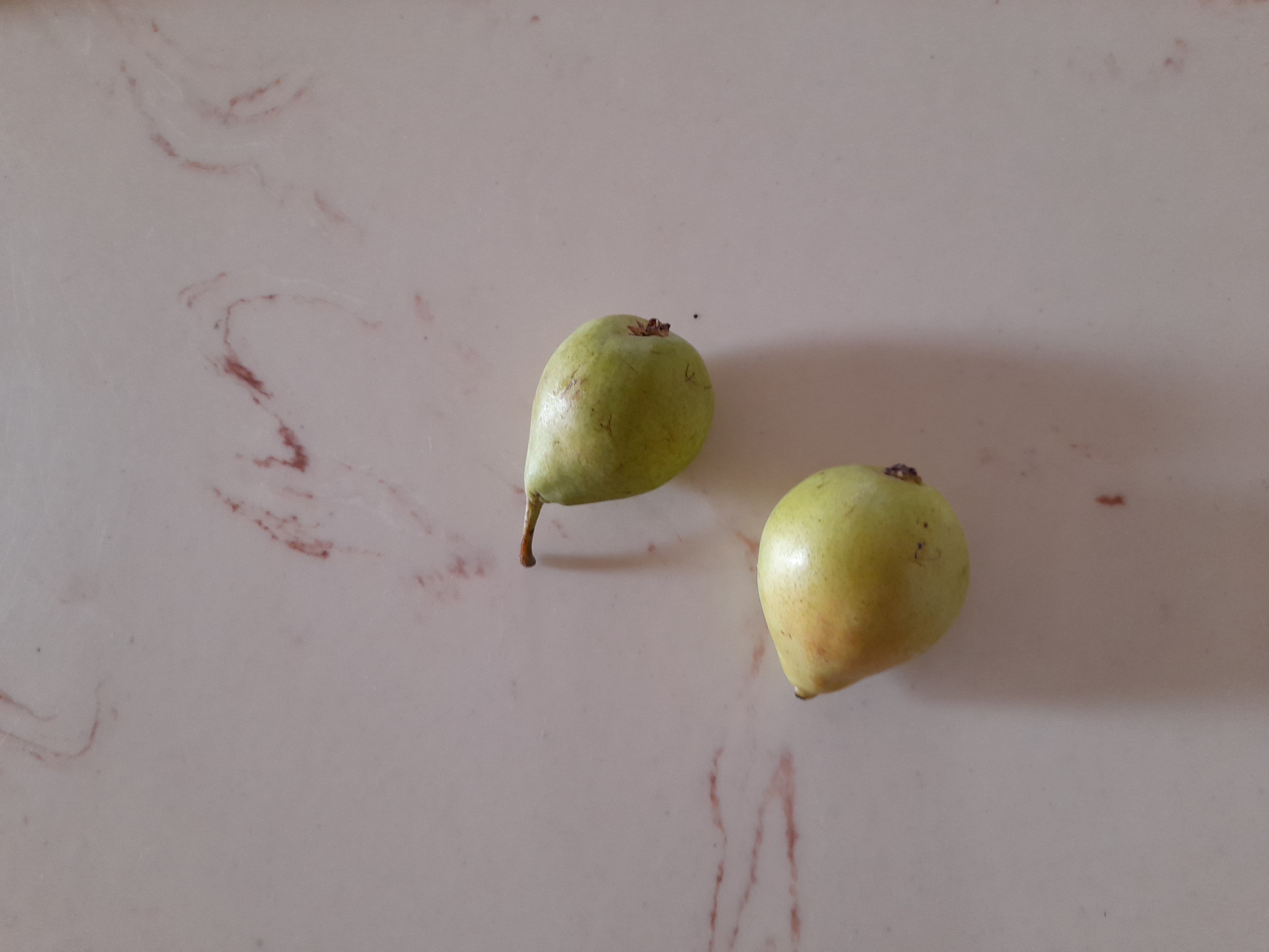 Two small pears