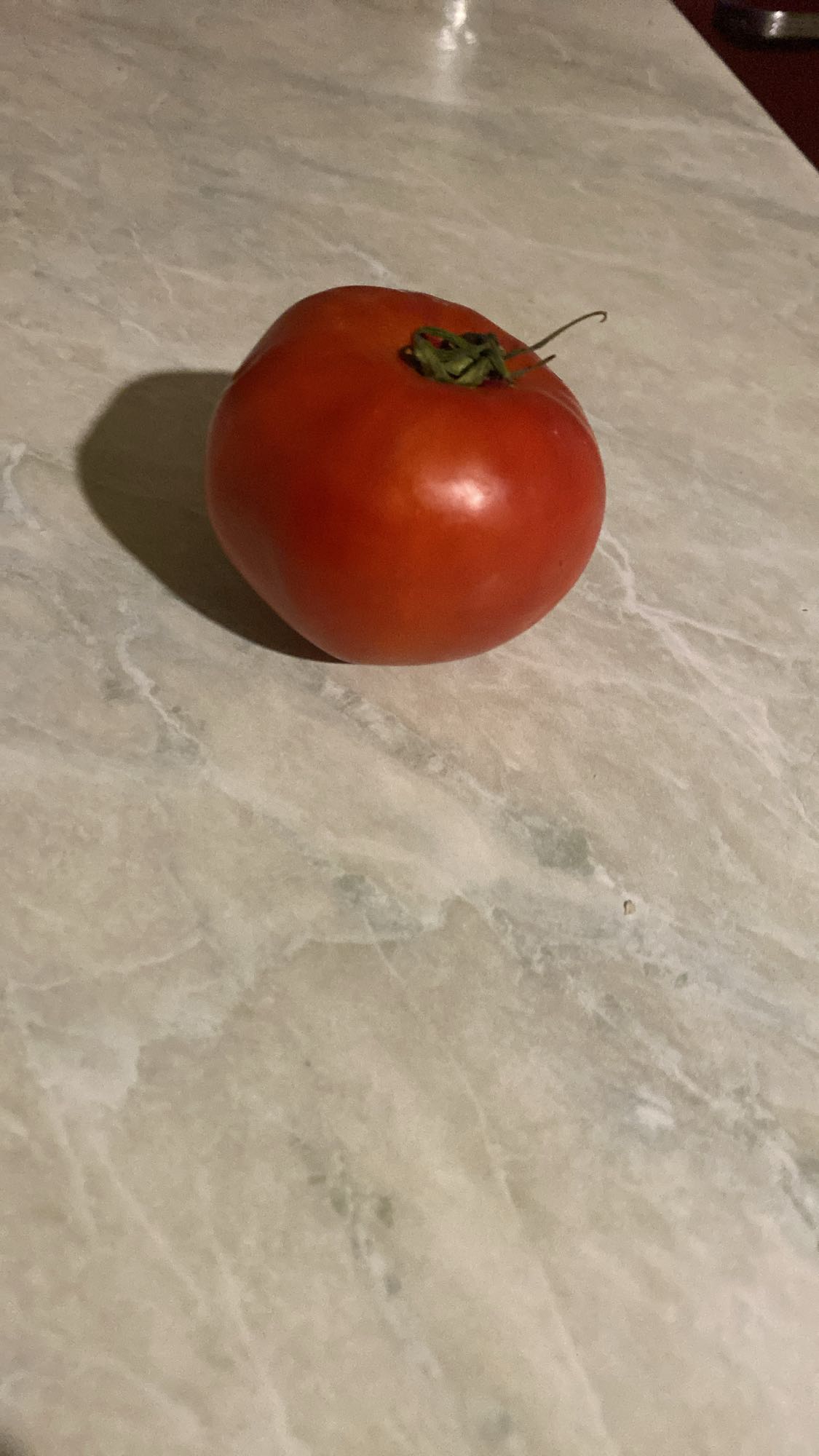 свежий помидор
