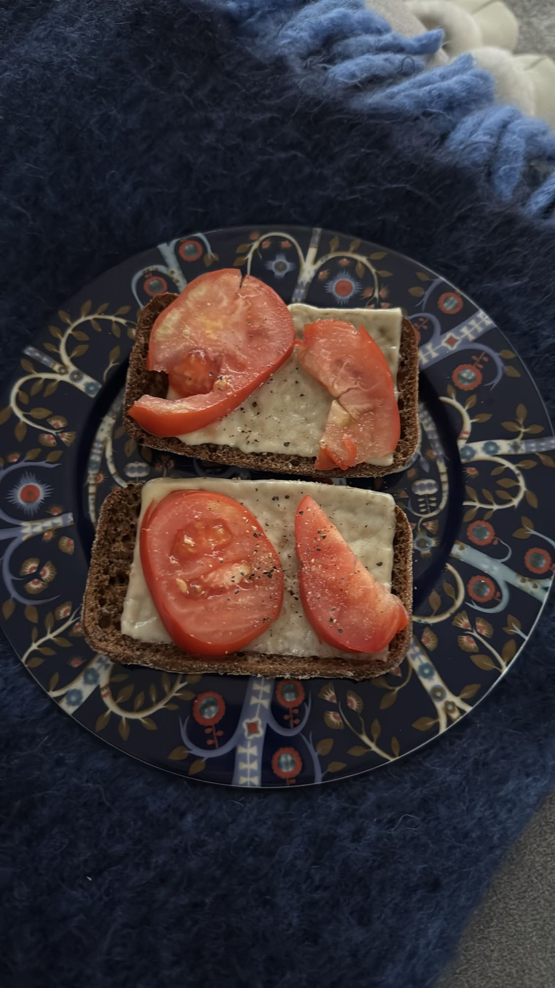 Tomato Cheese Rye Sandwich