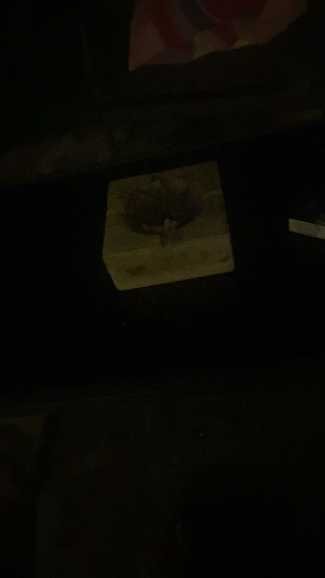 repas non identifiable