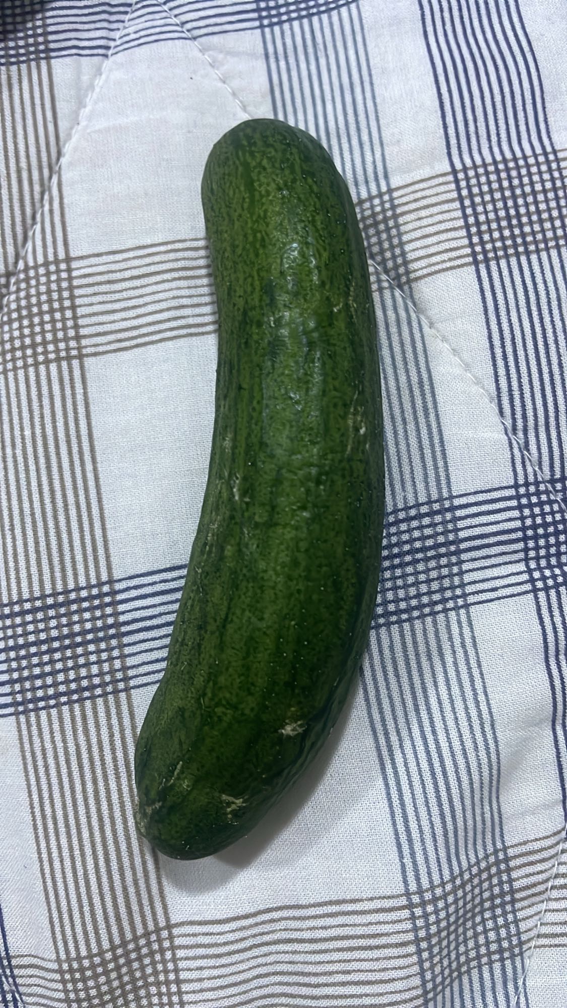 Whole cucumber