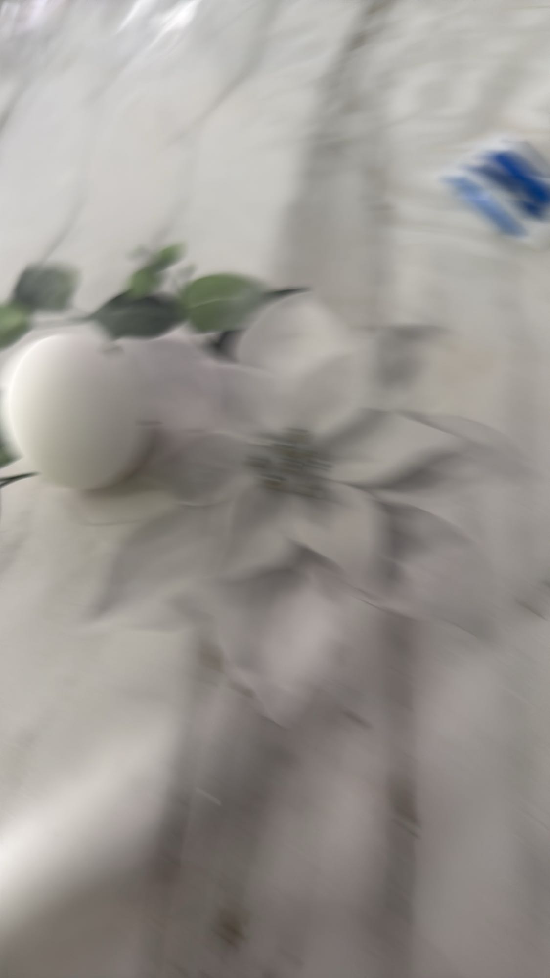 варёное яйцо