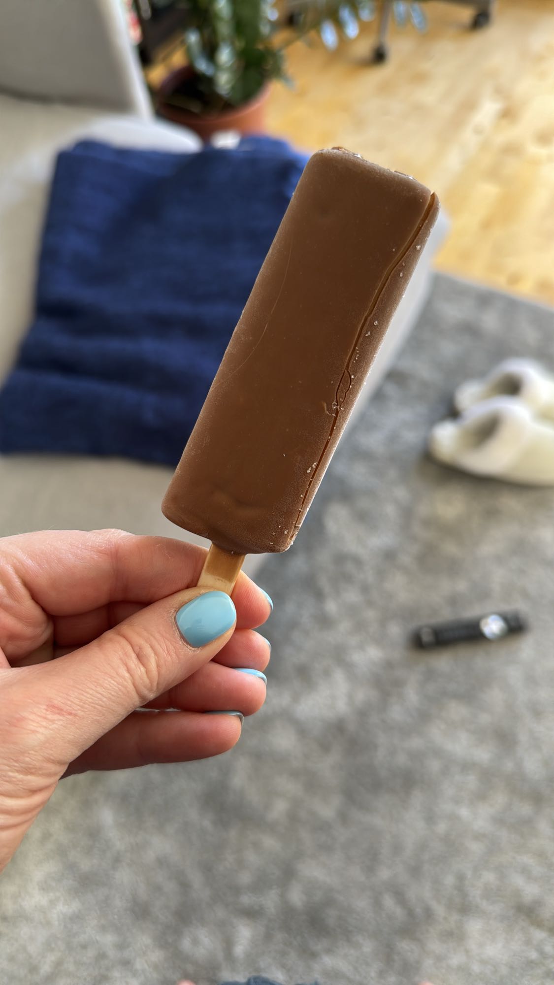 chocolate ice cream bar