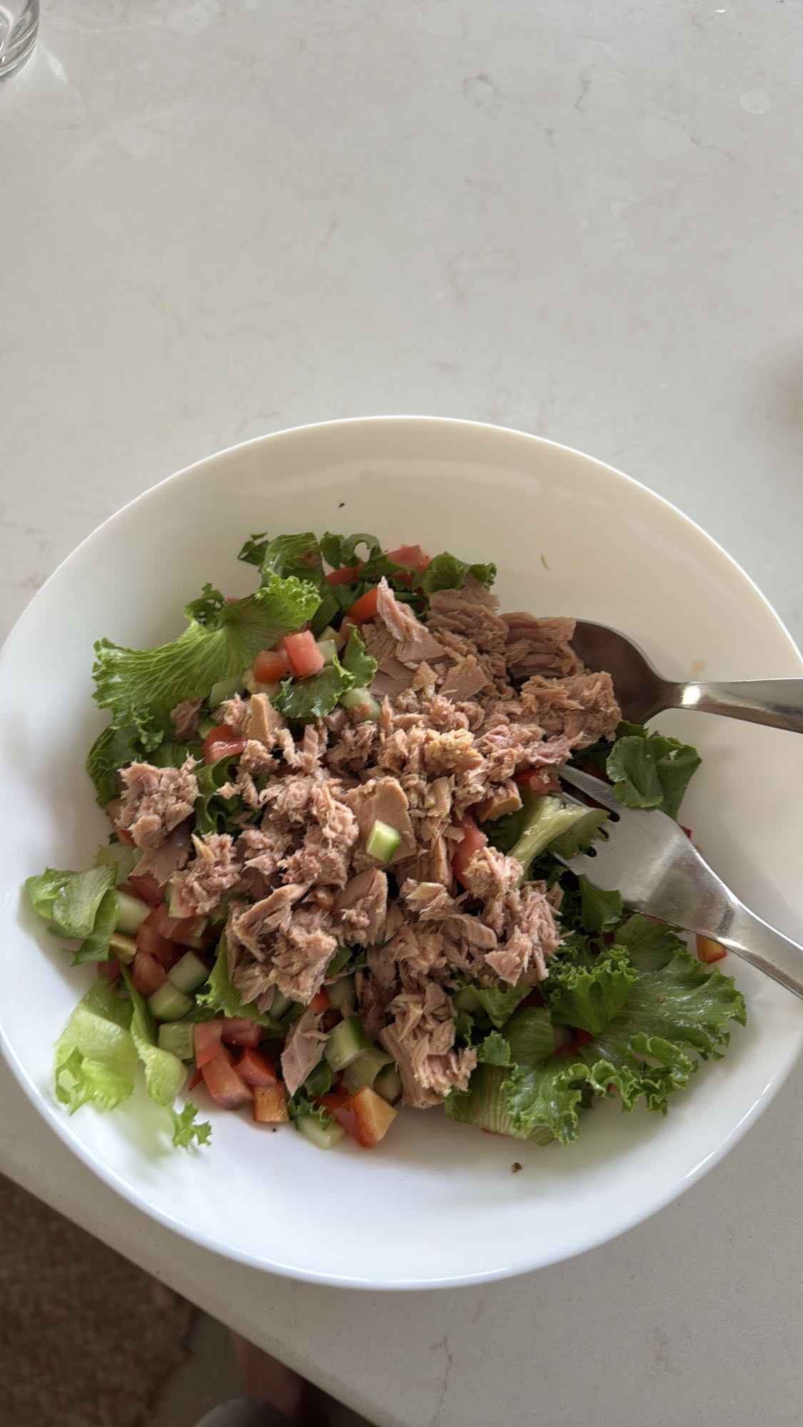 Tuna Veggie Salad