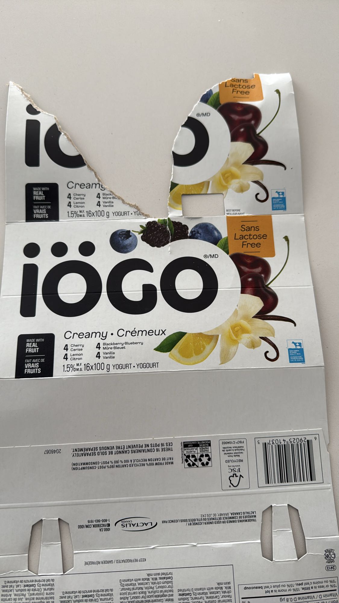 Yogourt crémeux fruits