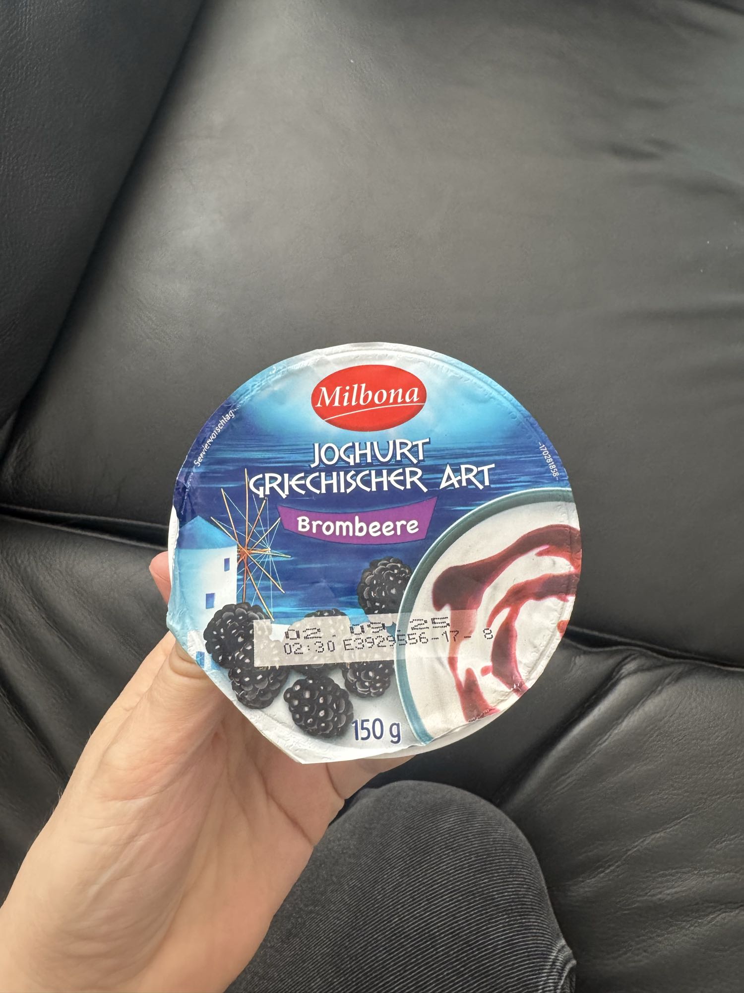 Griechischer Joghurt Brombeere