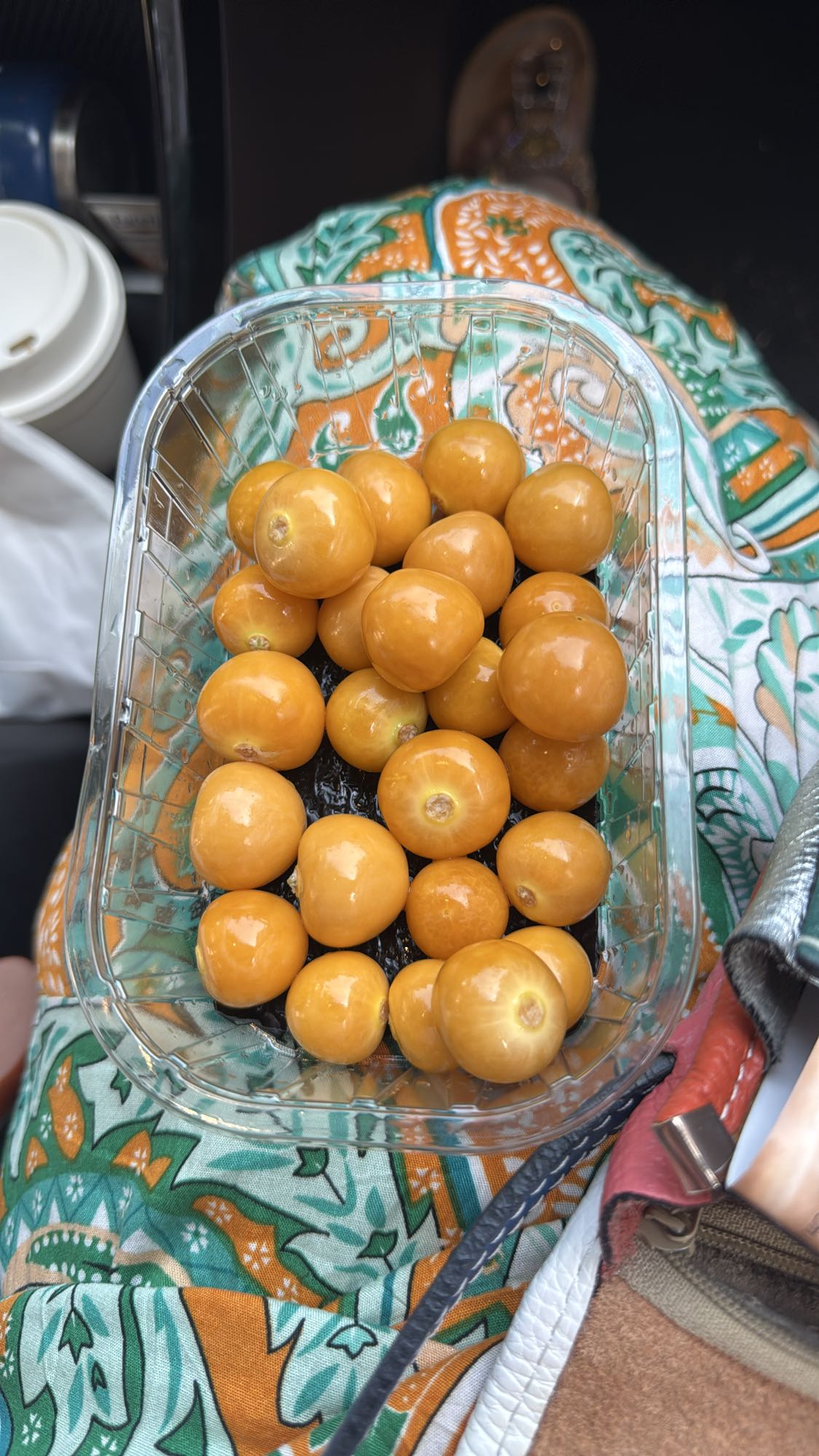 baies de physalis fraîches