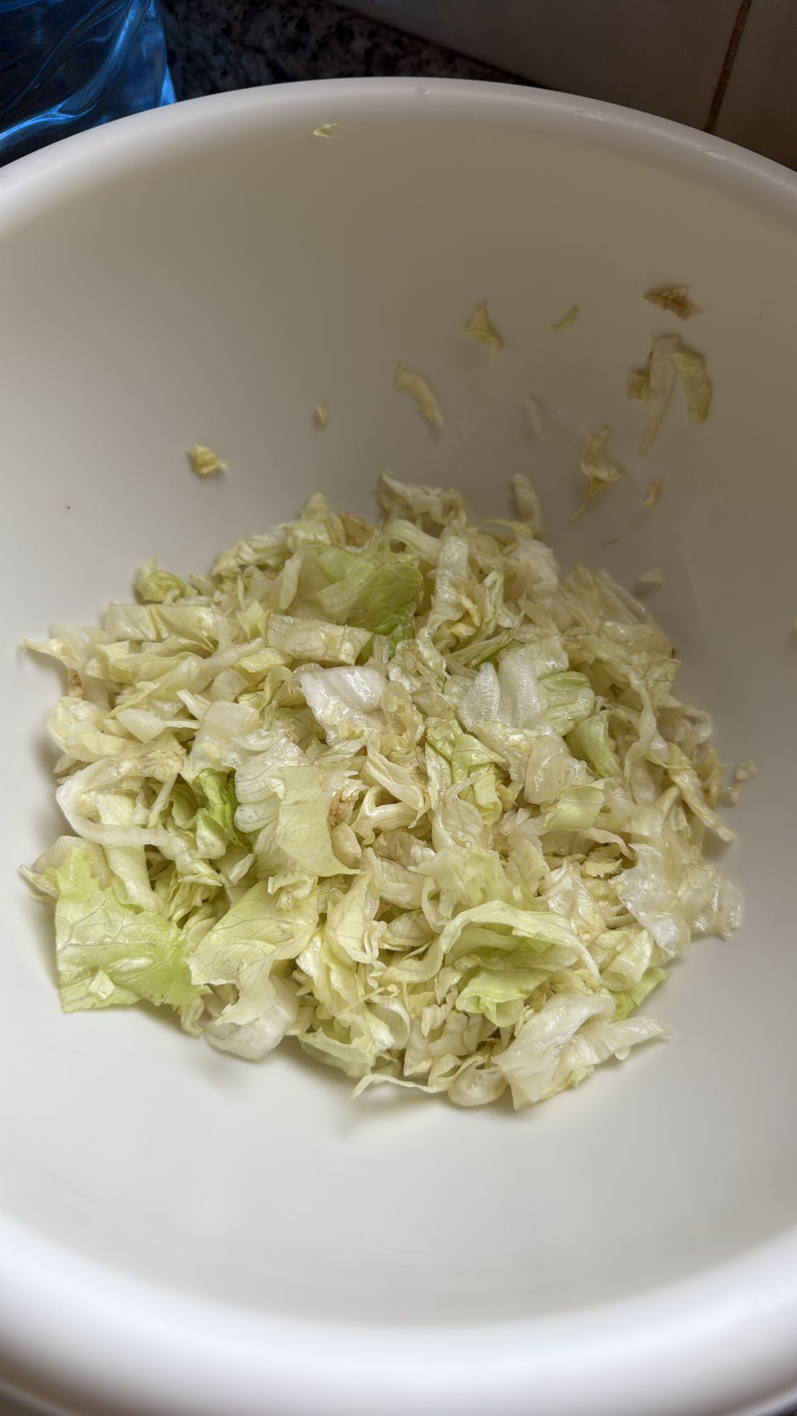 Shredded Lettuce Salad