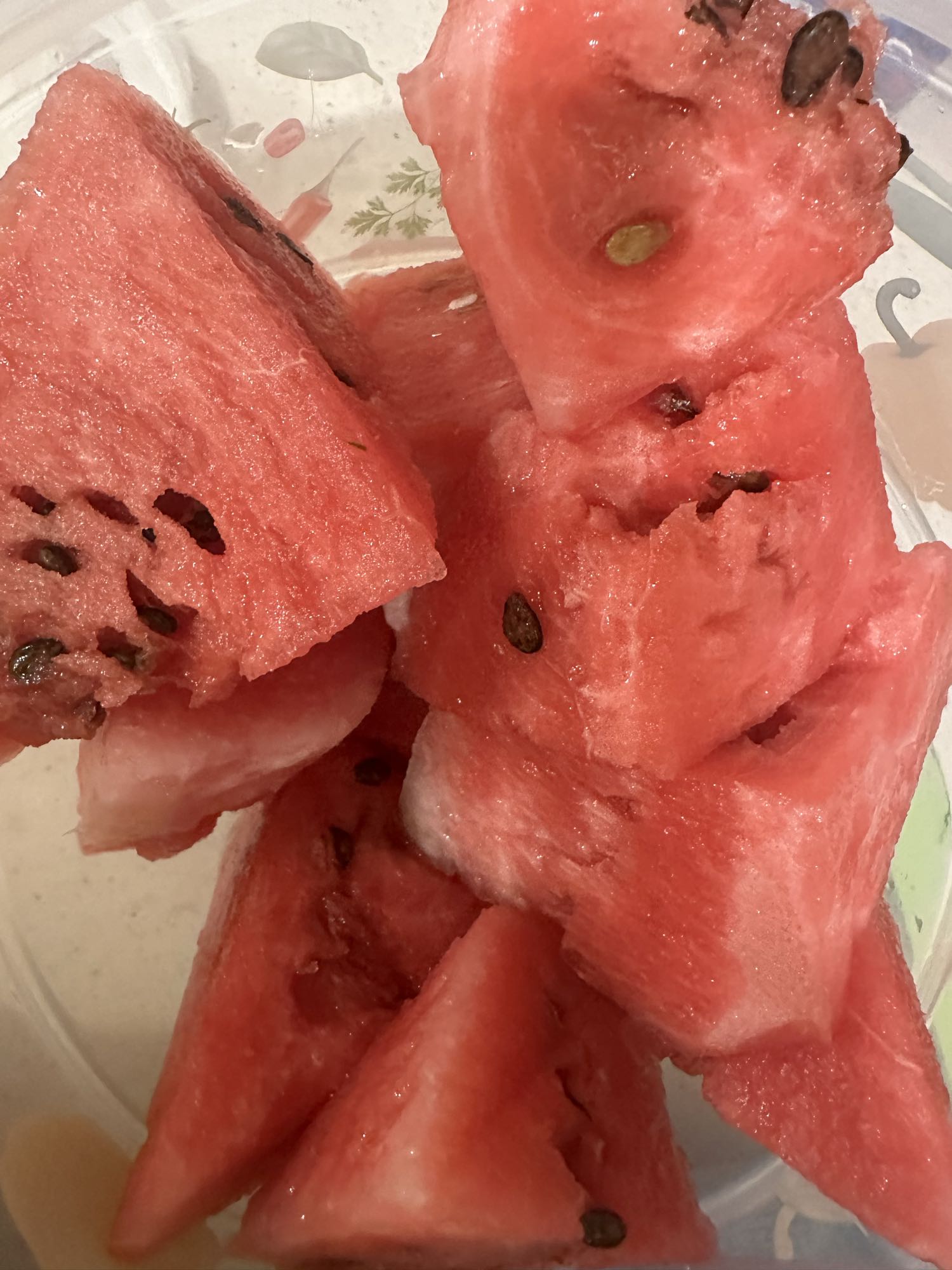 Fresh Watermelon Bowl