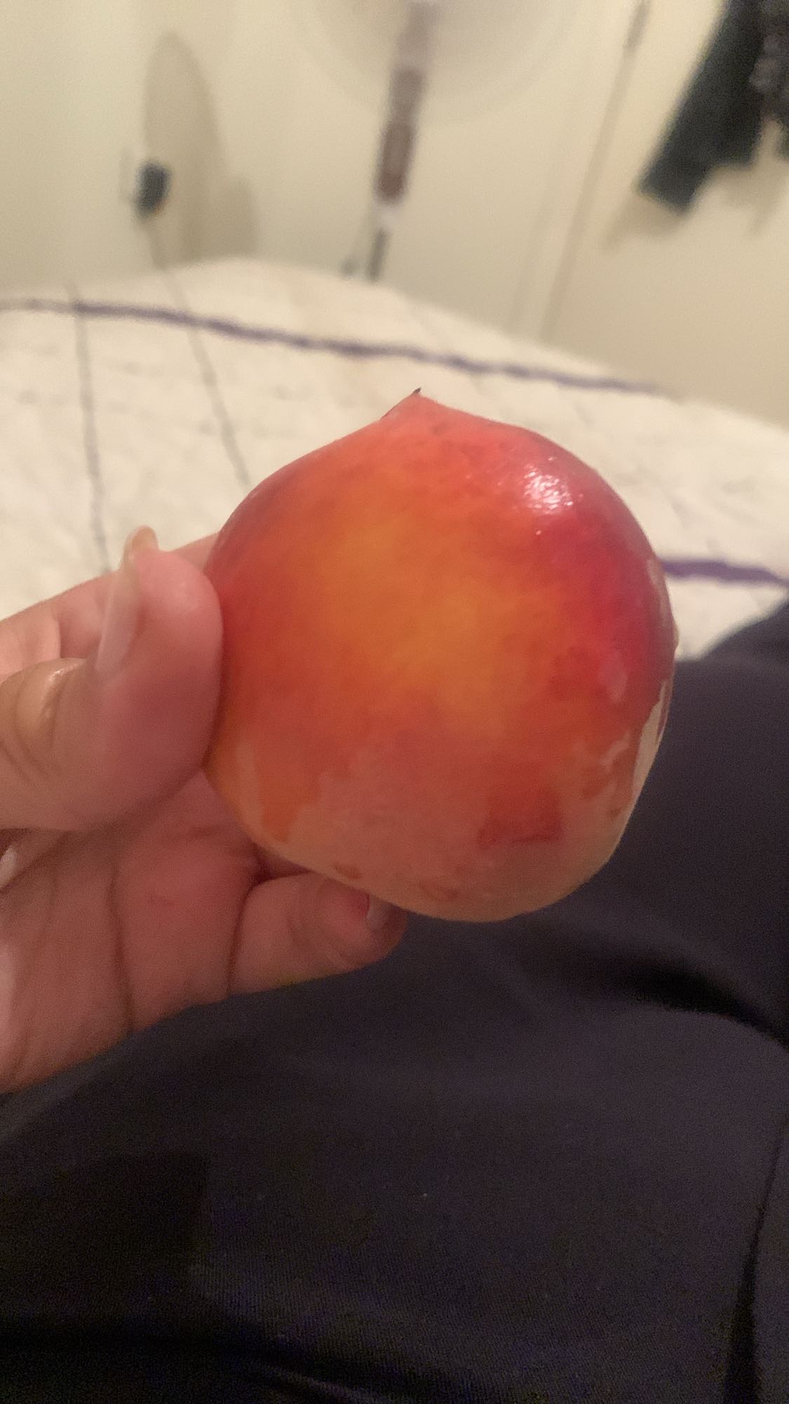 Fresh Nectarine