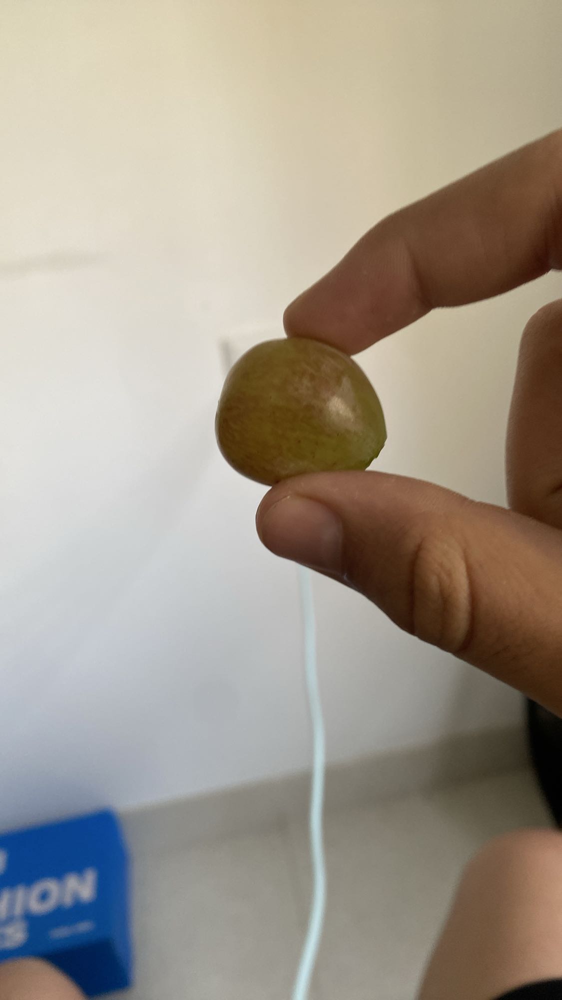 Single Green Grape