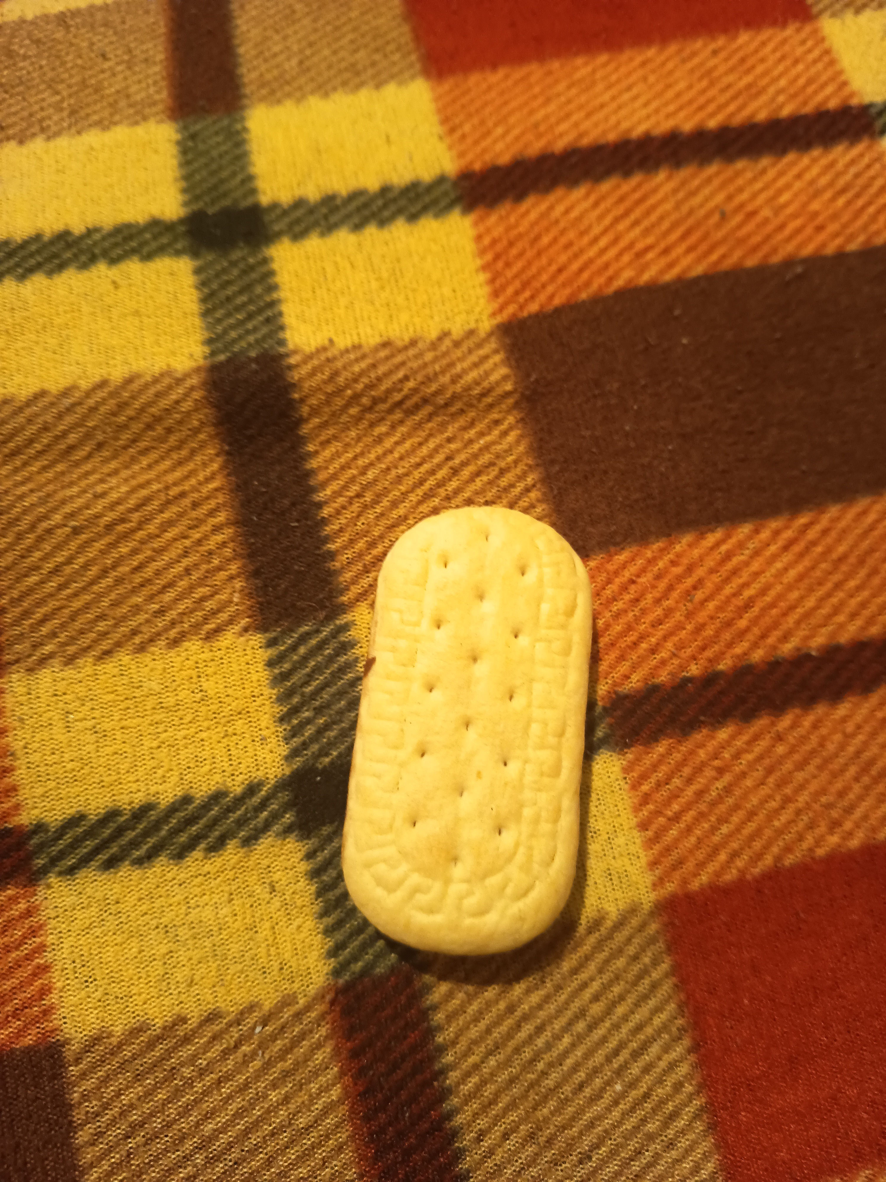 Plain tea biscuit
