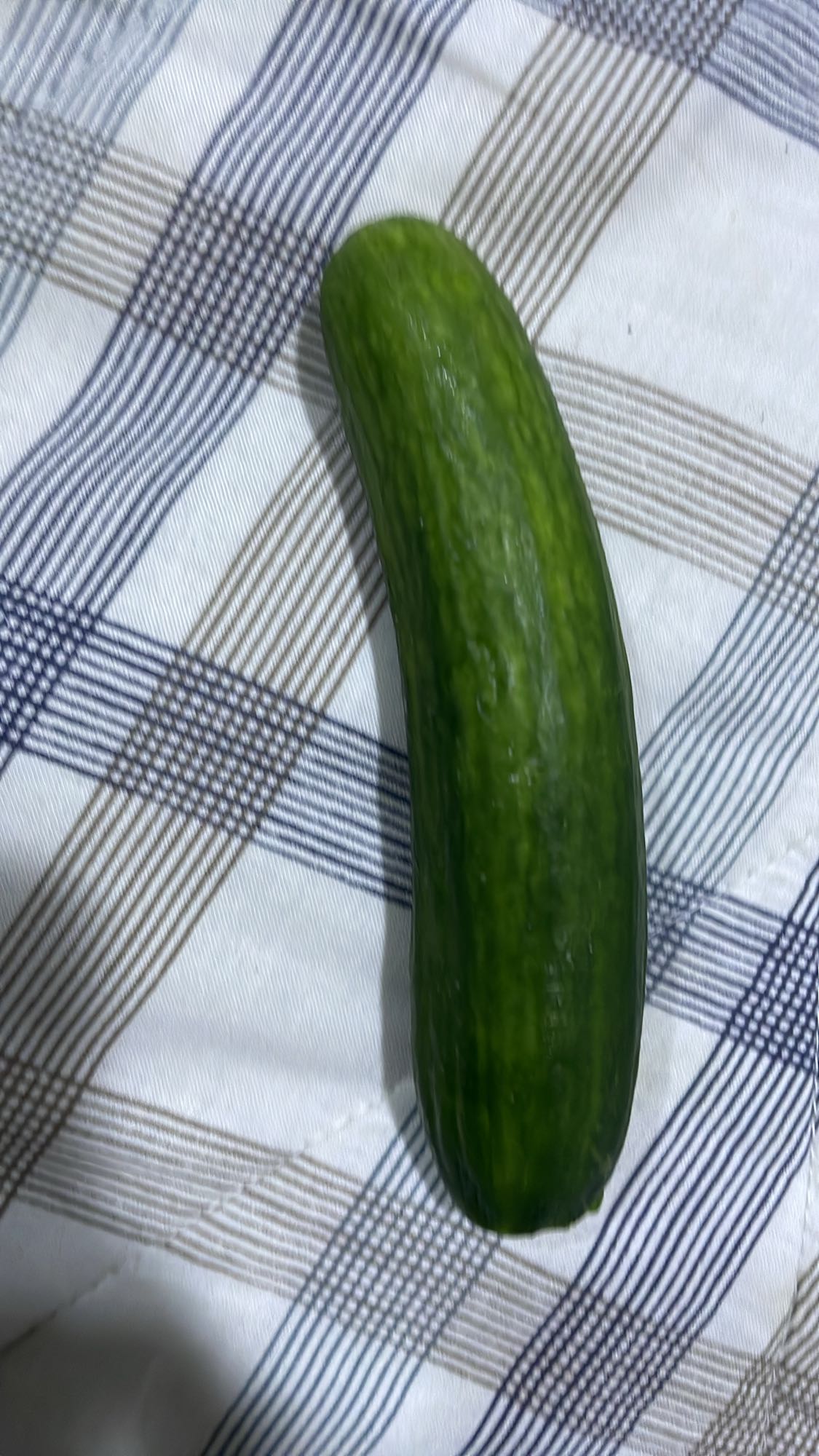 Fresh Cucumber