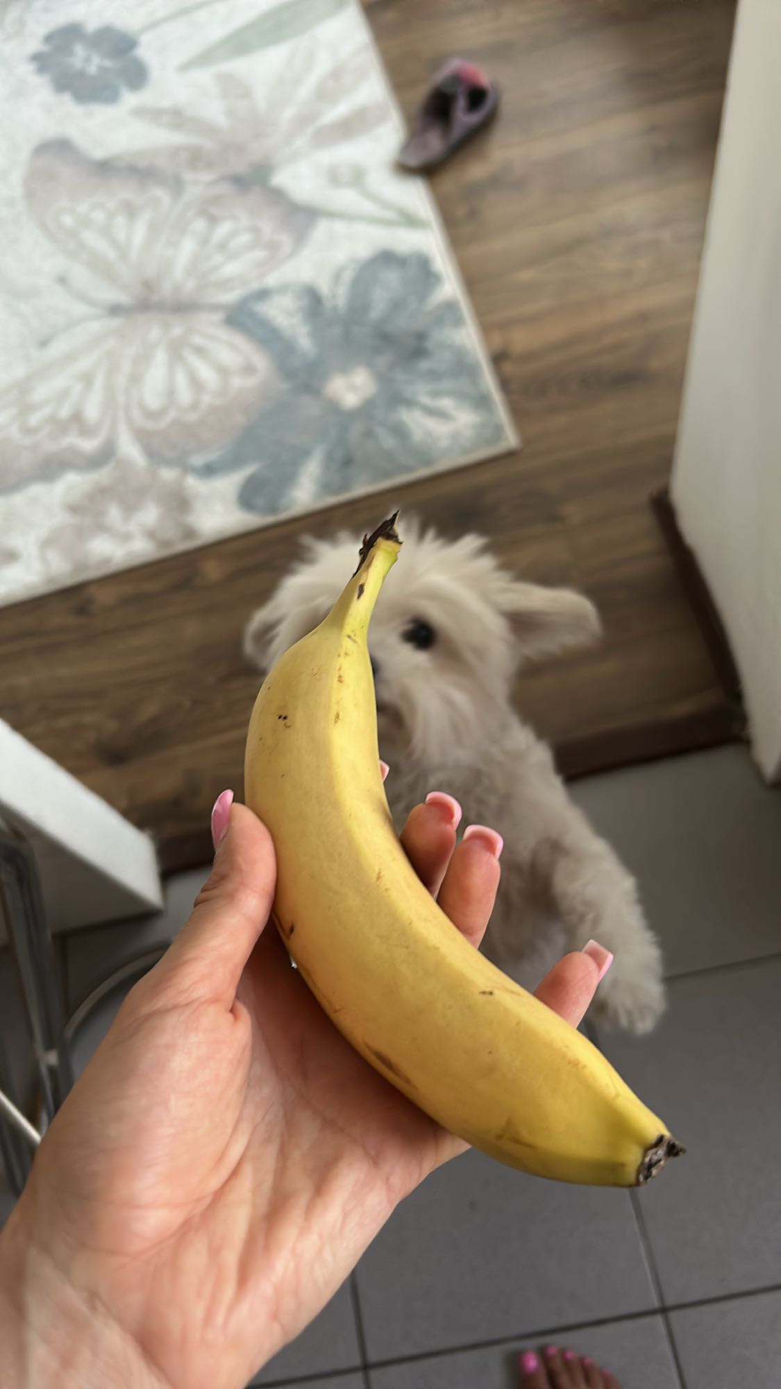 Banana simplă