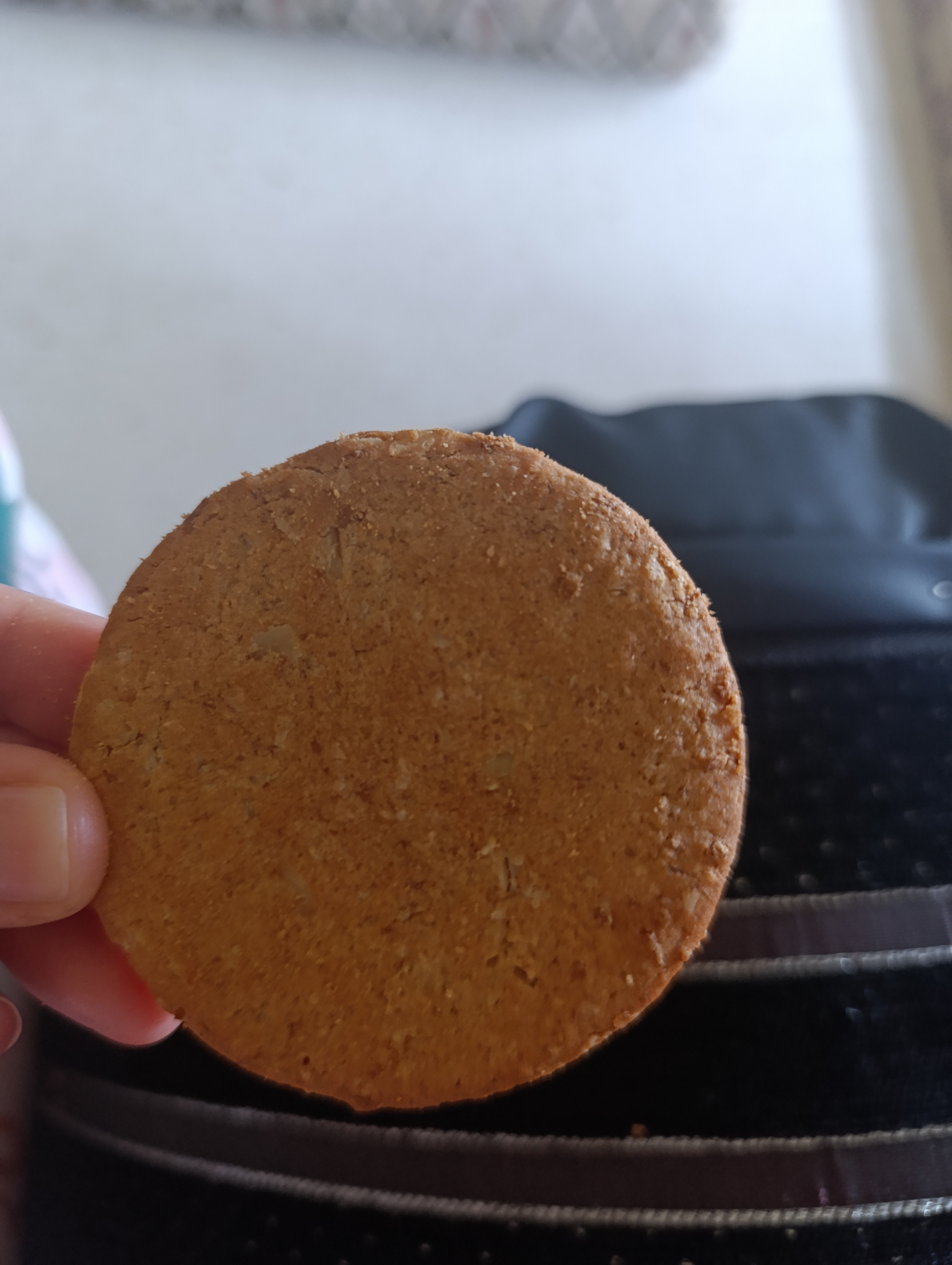 Plain Cookie