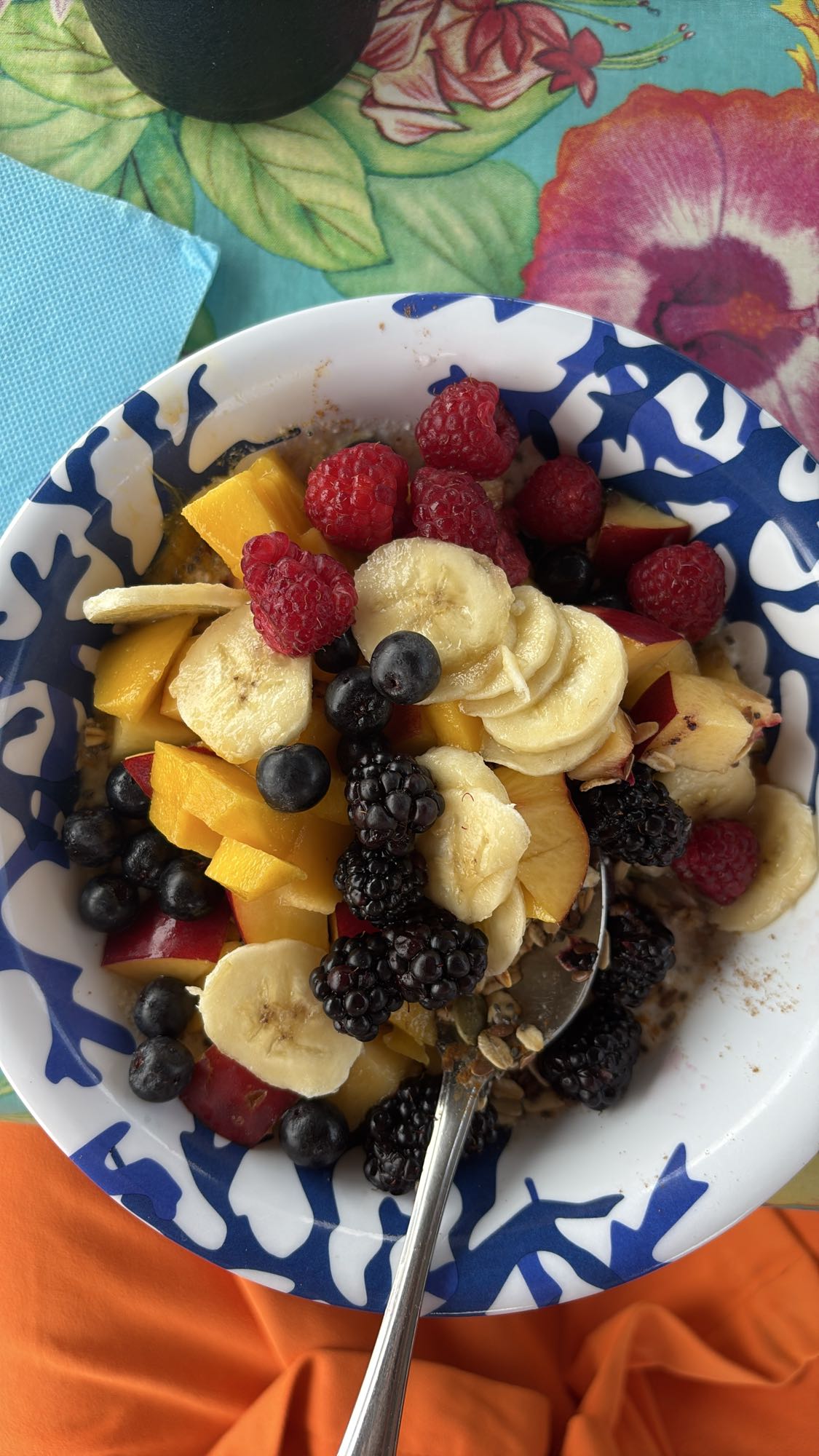 Mixed Fruit Oatmeal Bowl