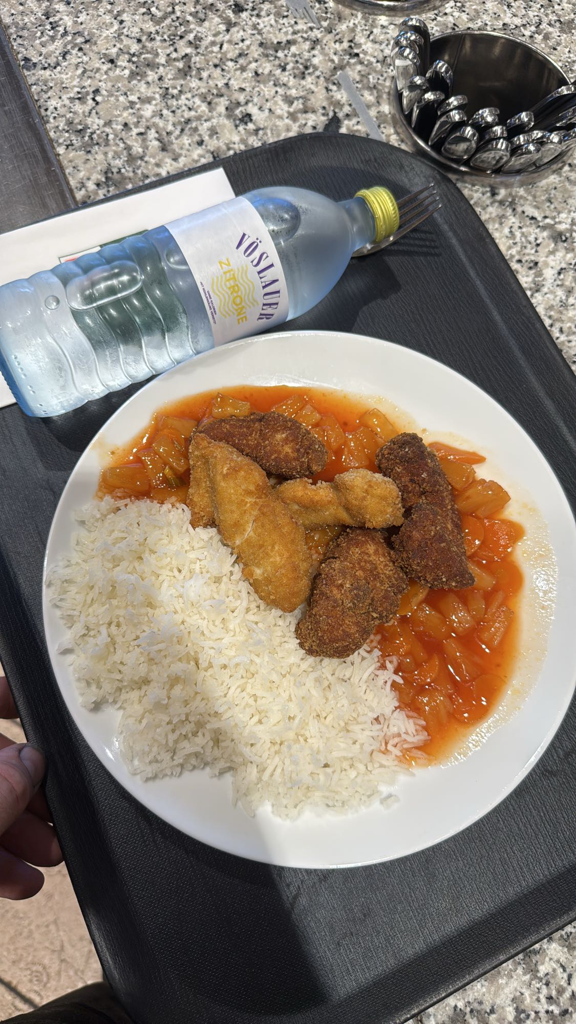 Reis mit paniertem Hähnchen