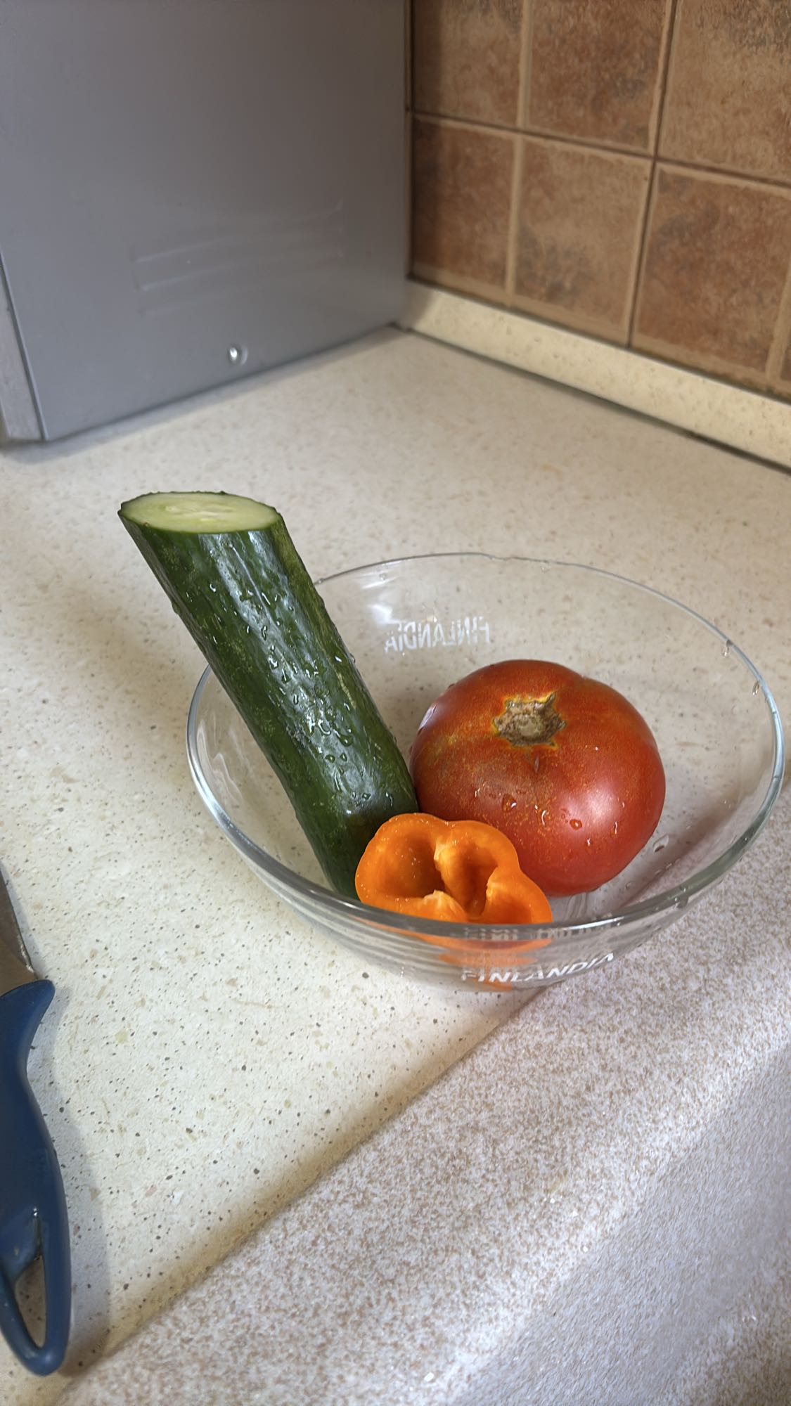 Salată de legume crude