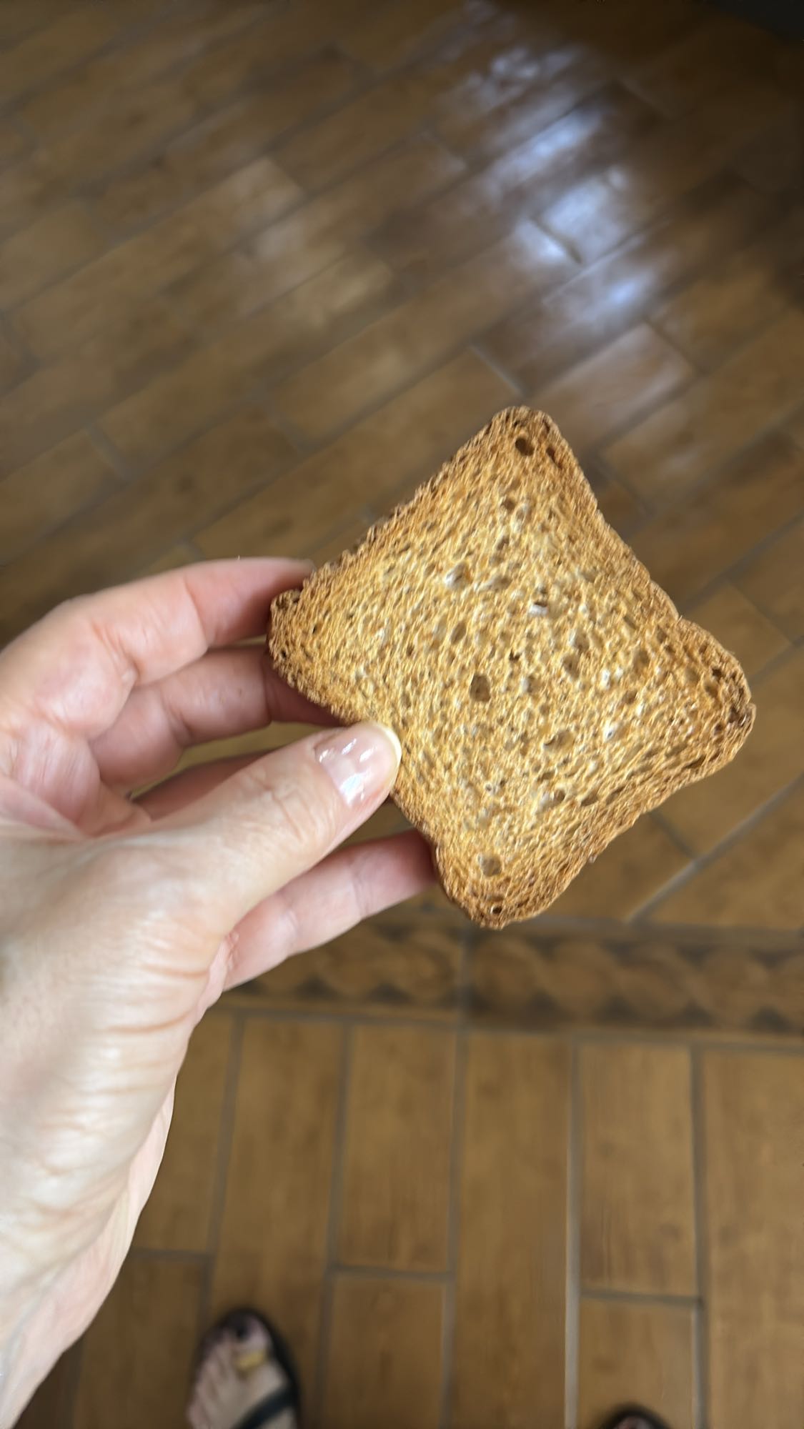 Pâine prăjită simplă