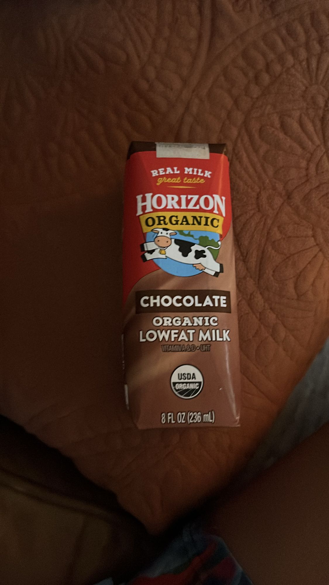 Chocolate Milk Drink