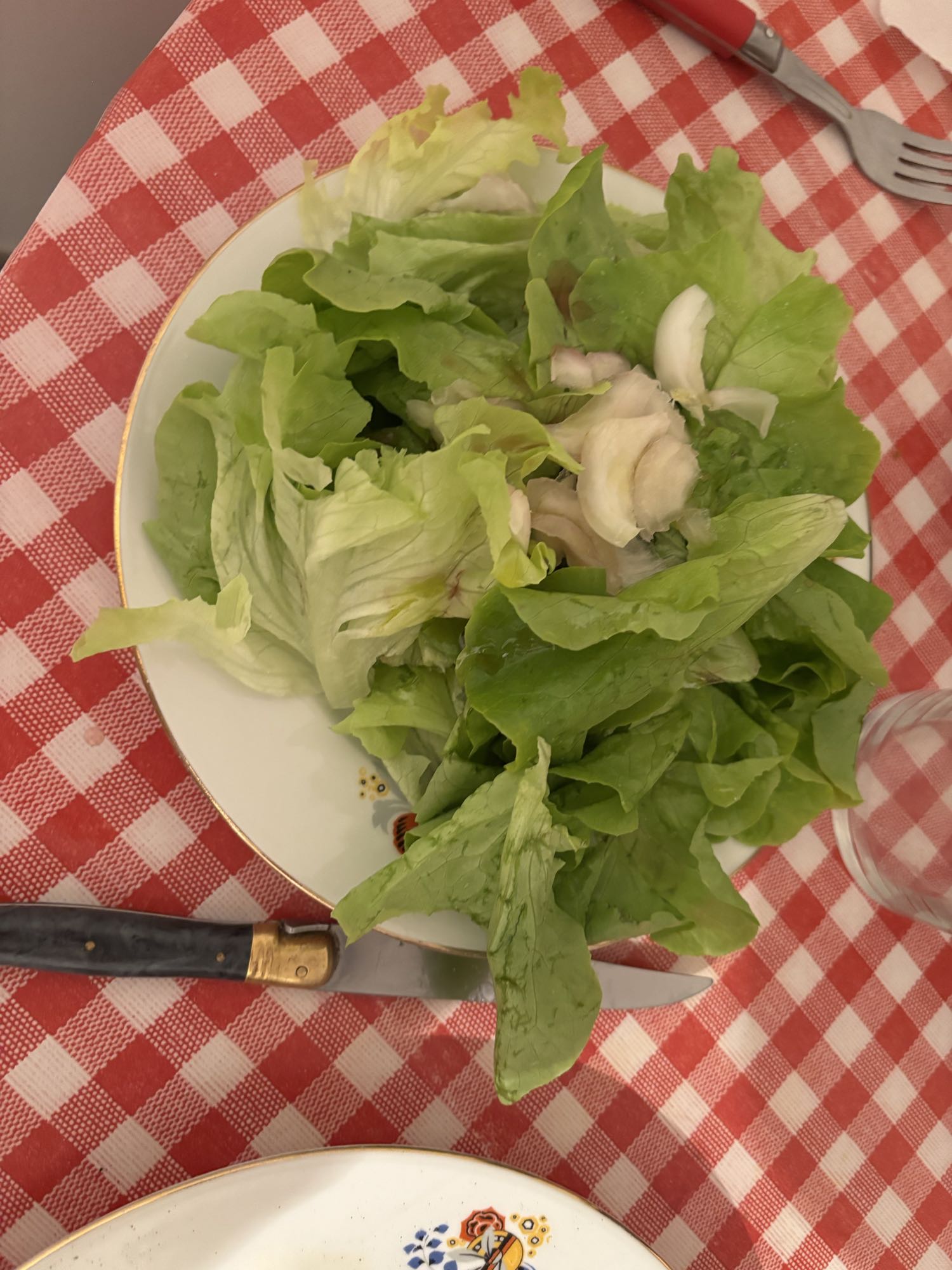 Salade verte simple