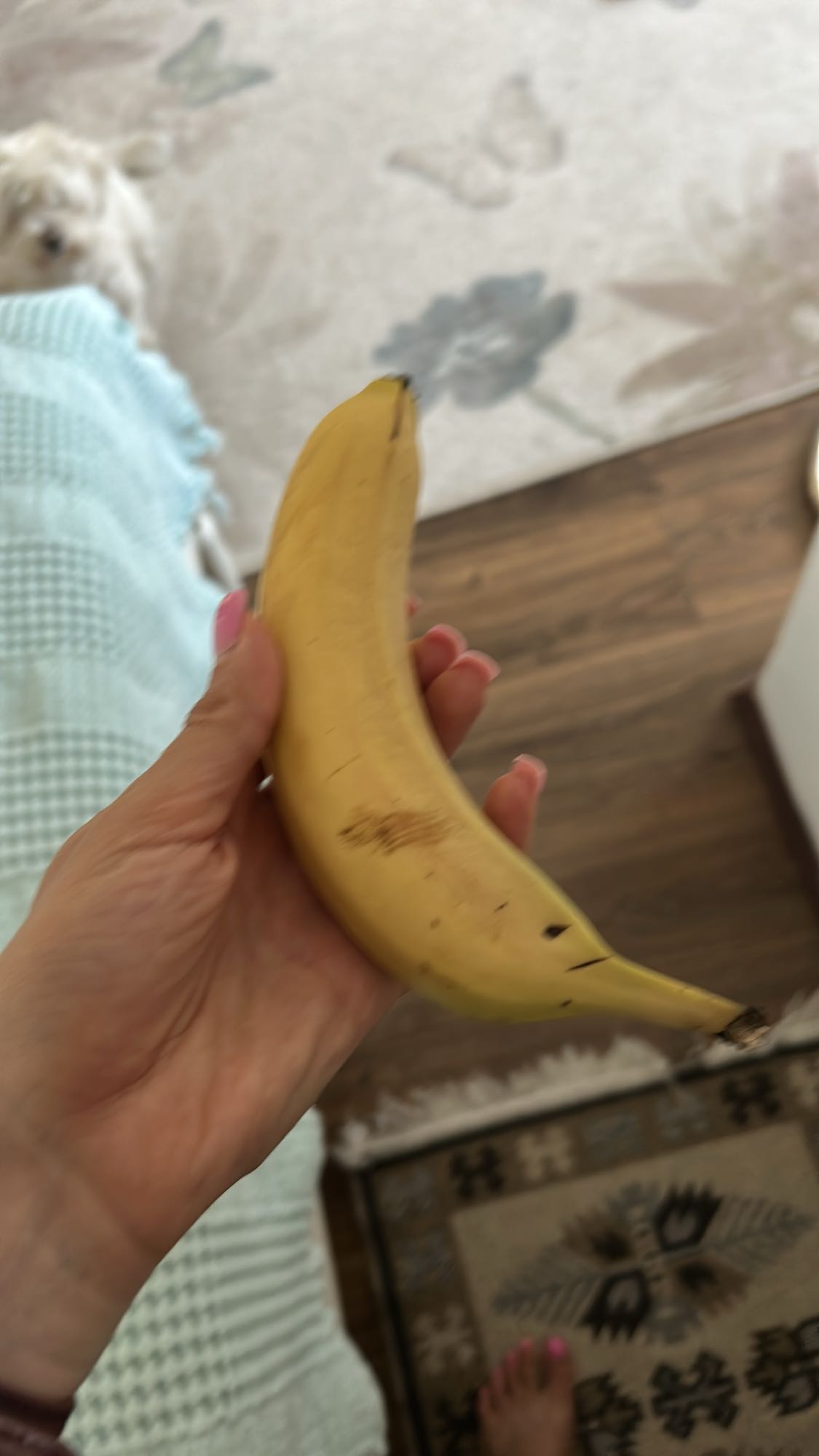 Banana simplă