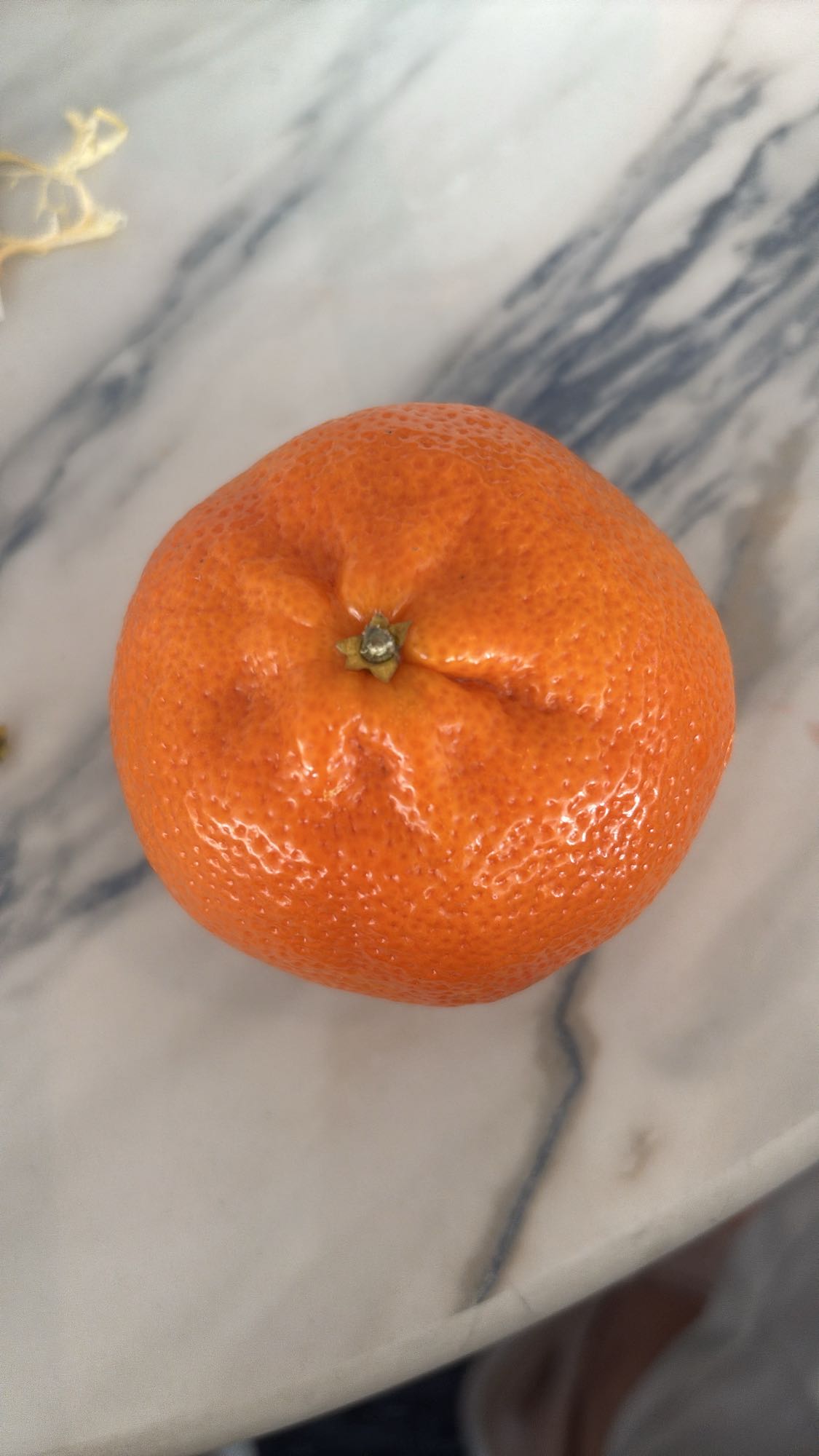 Mandarin Orange