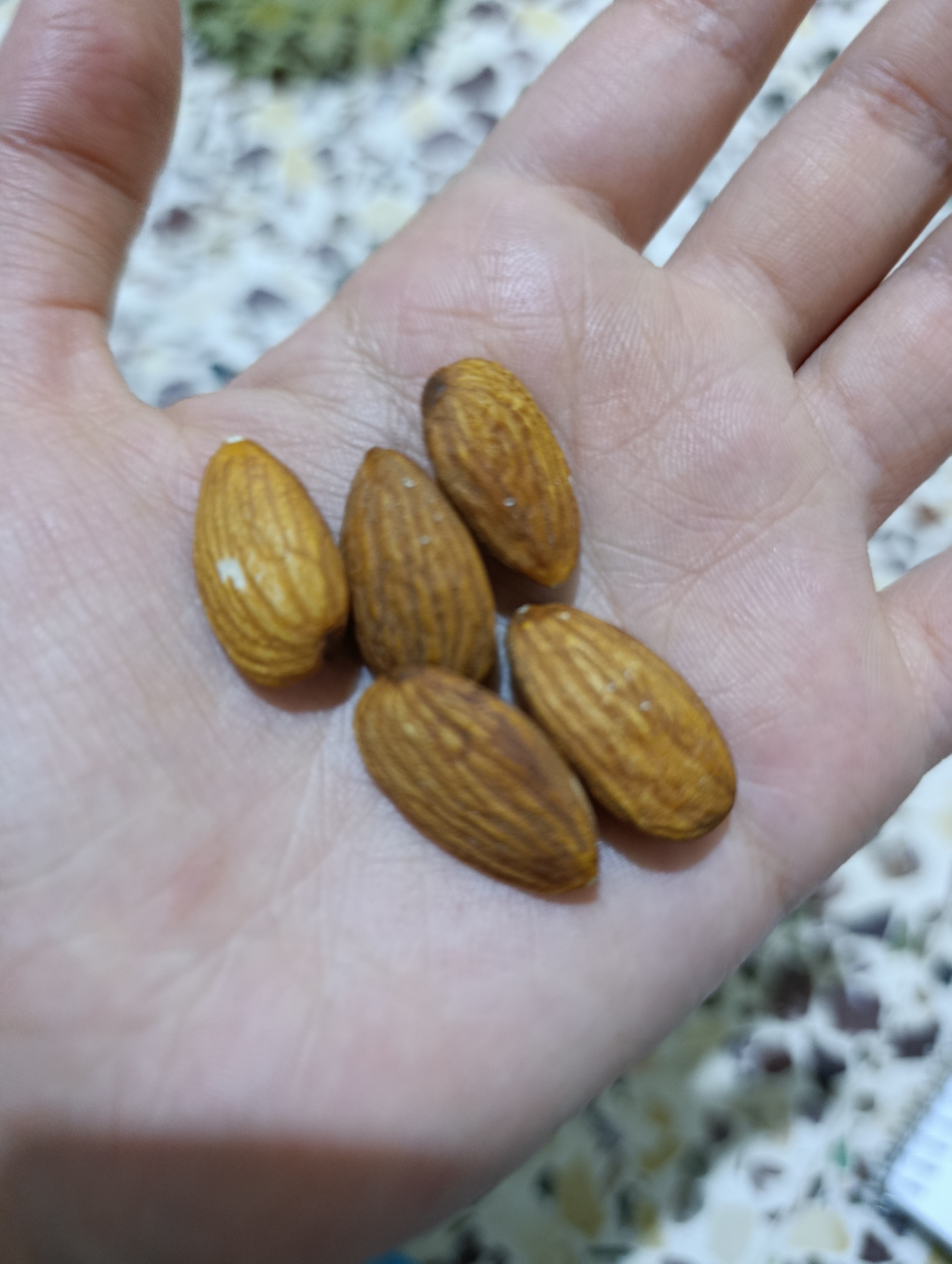 Handful of Almonds