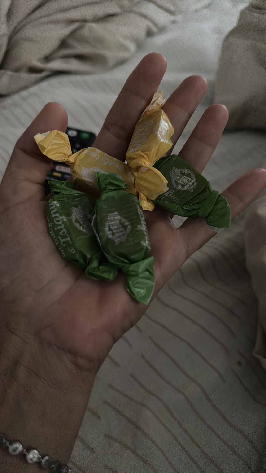 Assorted Fruit Candies