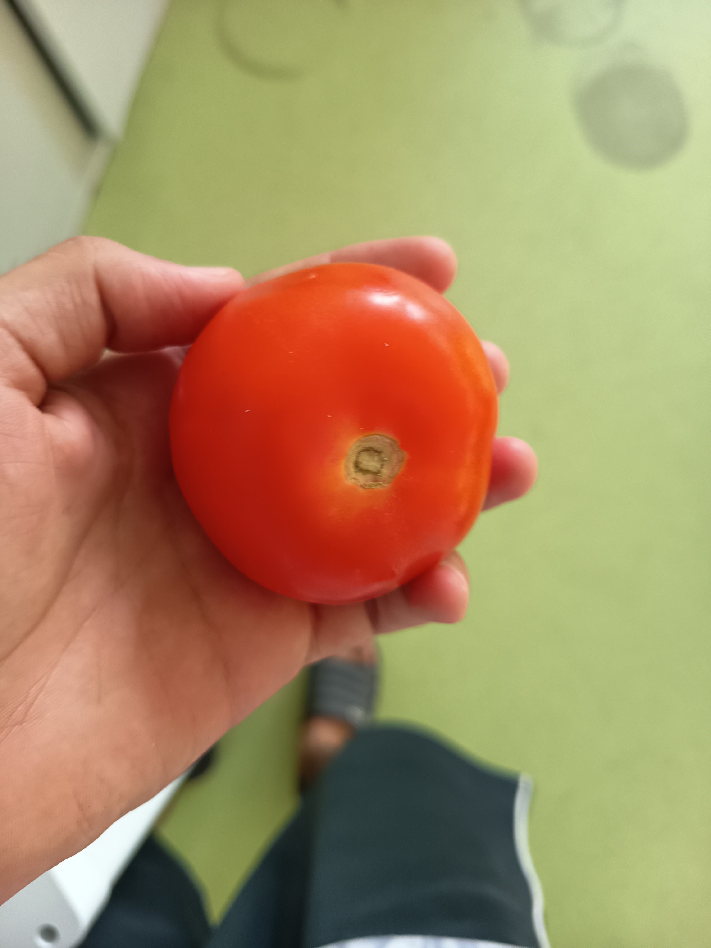 Fresh Tomato