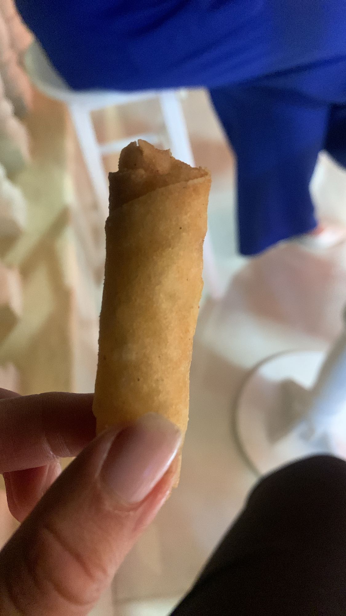 Mini spring roll