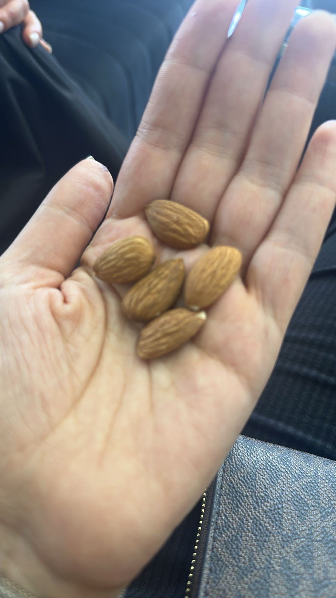 Handful of Almonds