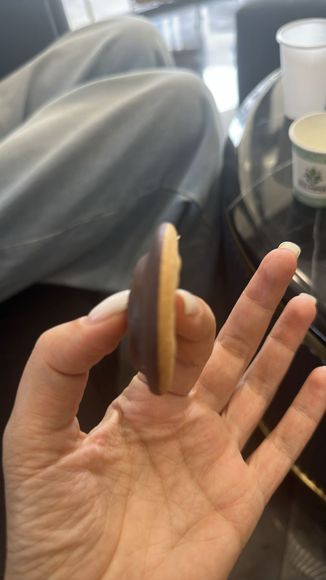 chocolate covered biscuit