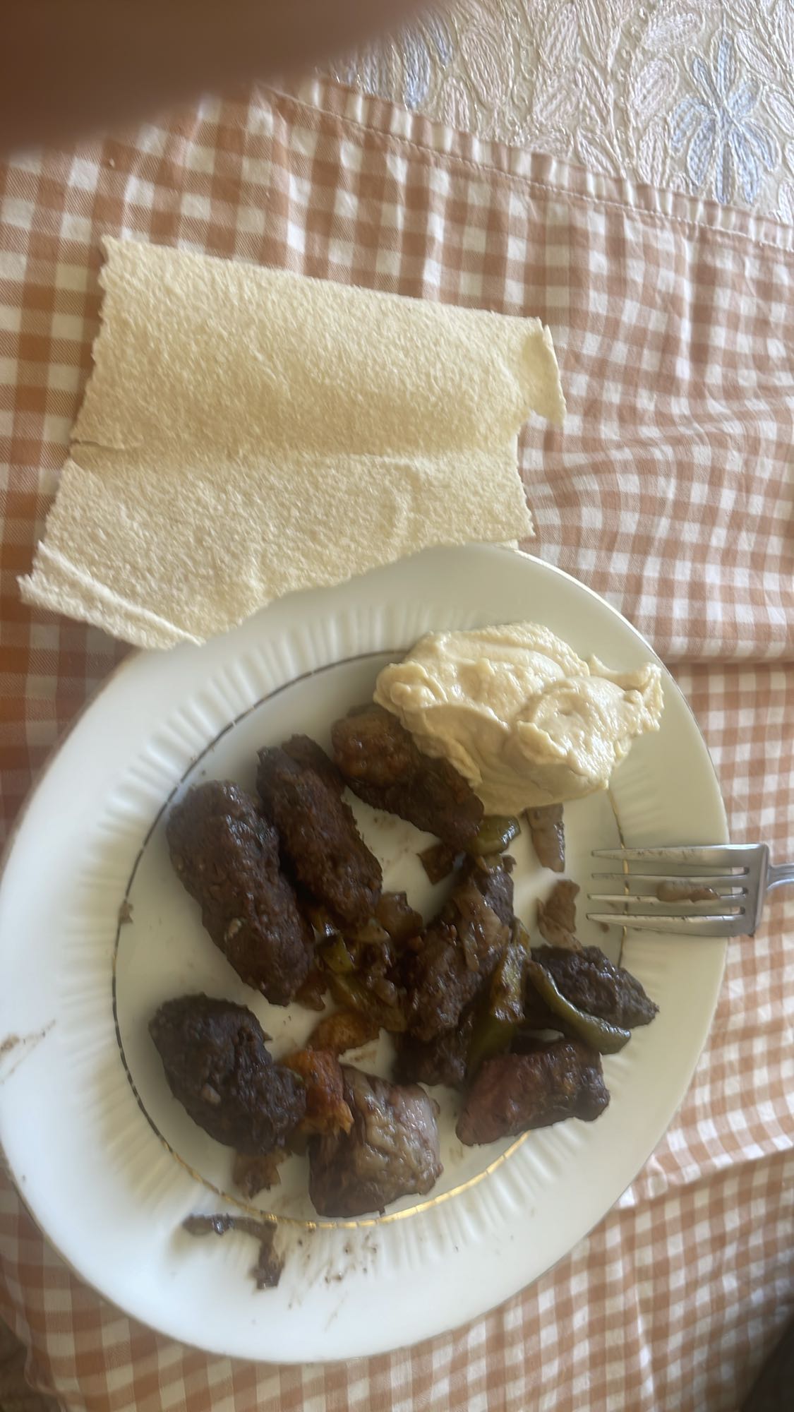 Kebab with lavash and hummus