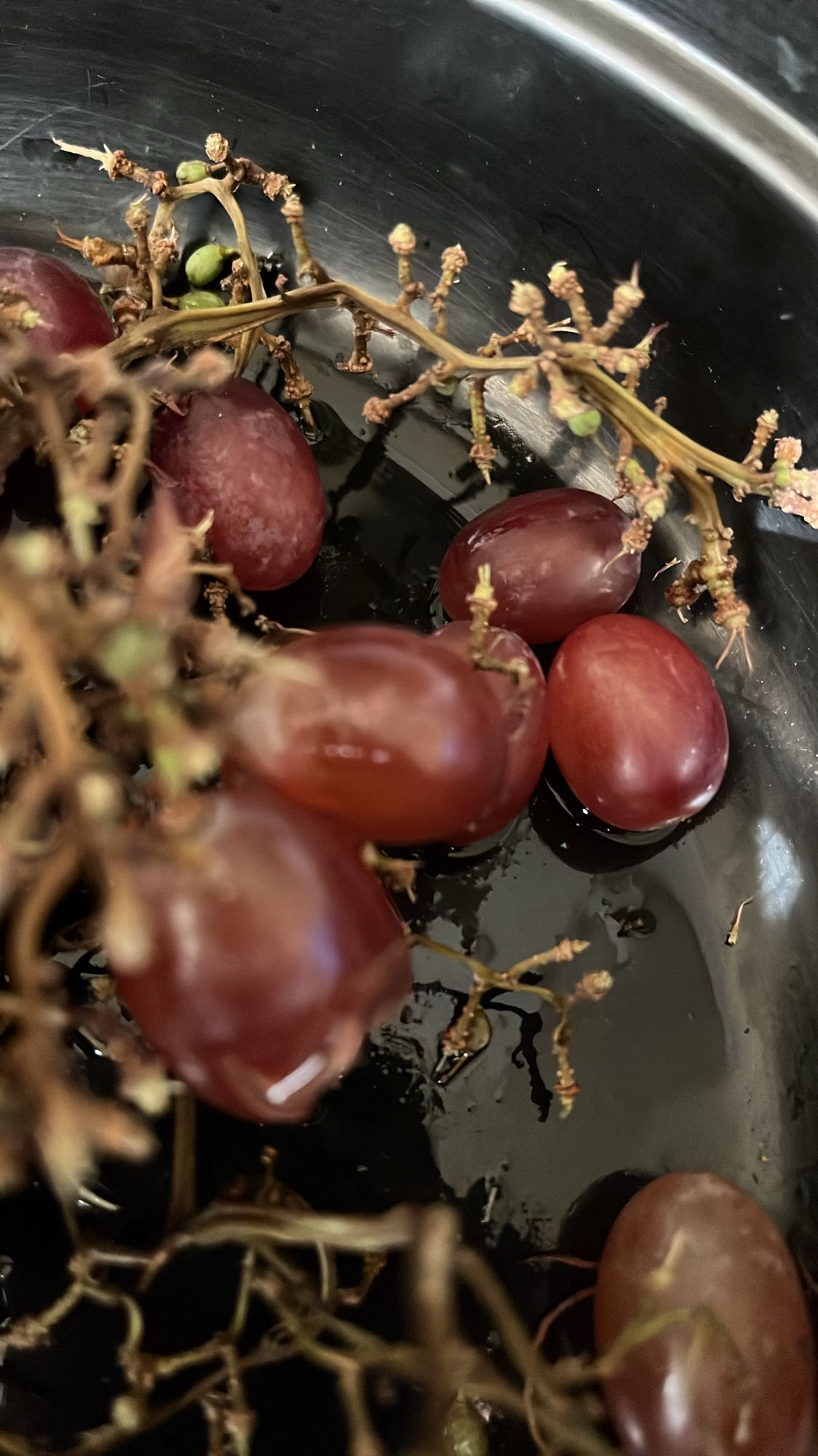 Red Grapes Snack
