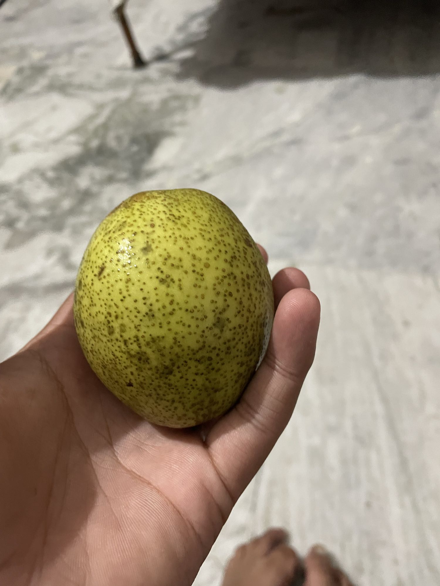 Fresh Pear Snack