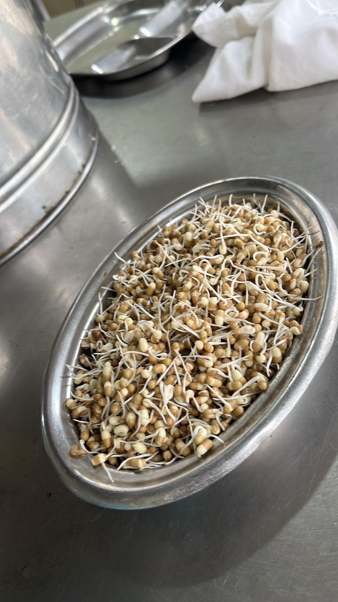 Sprouted Moong Salad