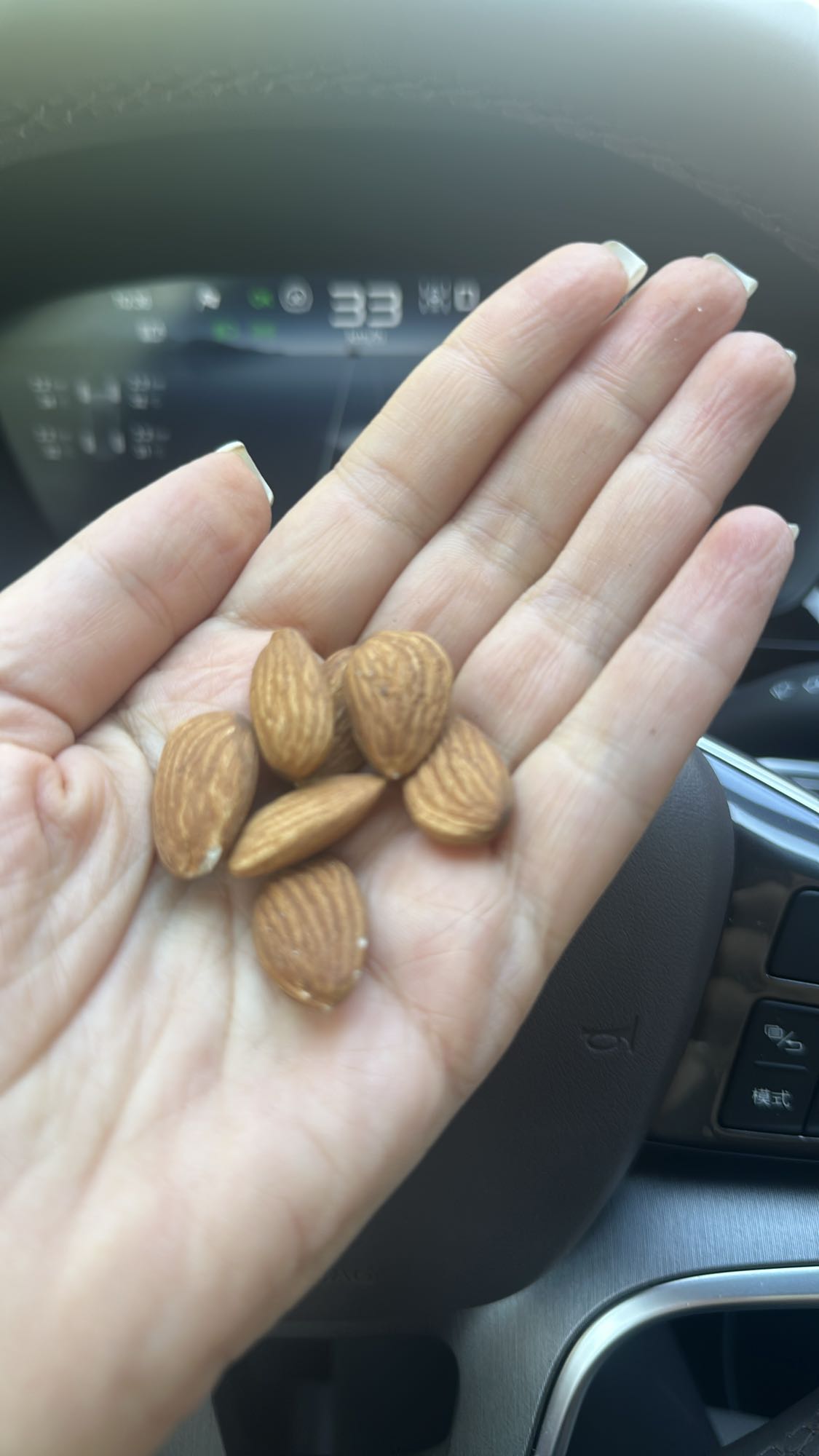 Handful of Almonds