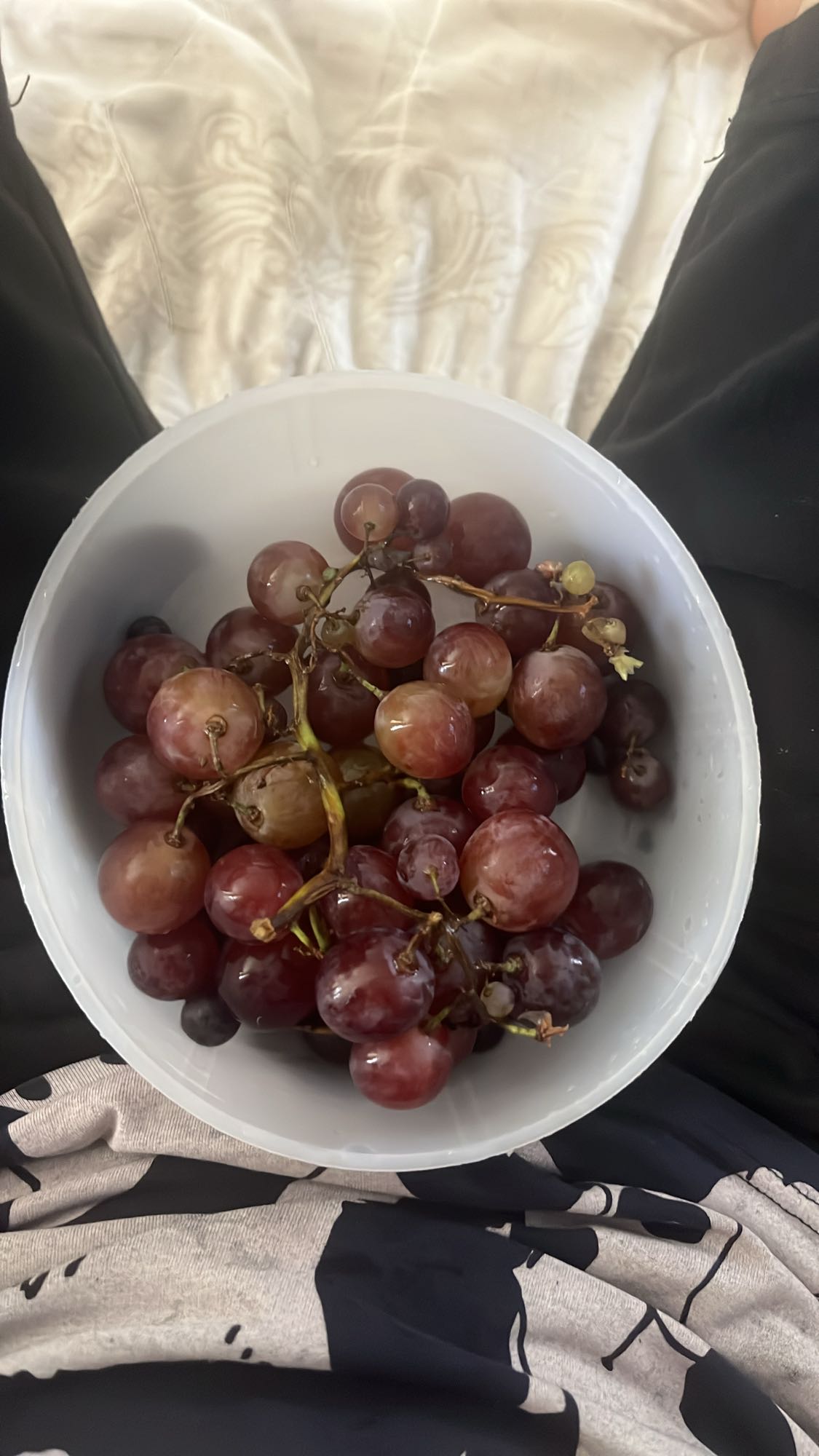 Kırmızı Üzüm Kasesi