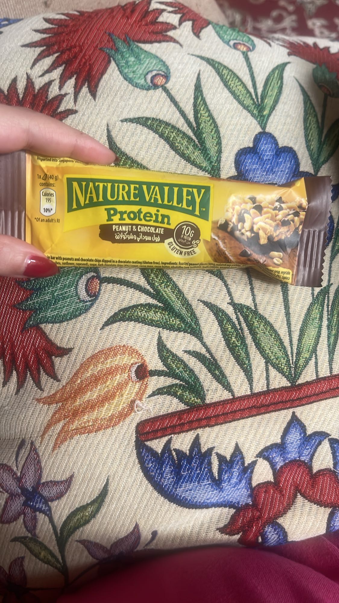 Peanut Chocolate Protein Bar