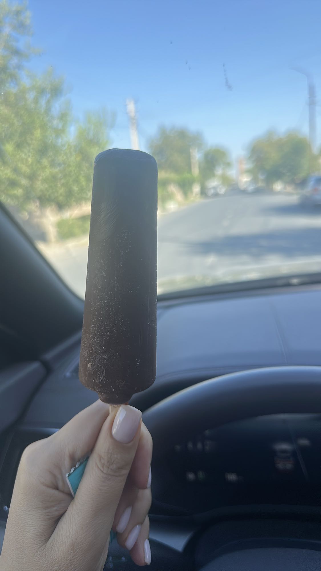 Chocolate Ice Cream Bar