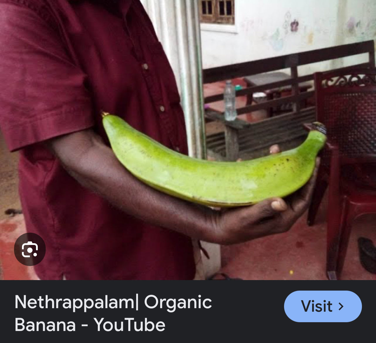 Large Organic Banana