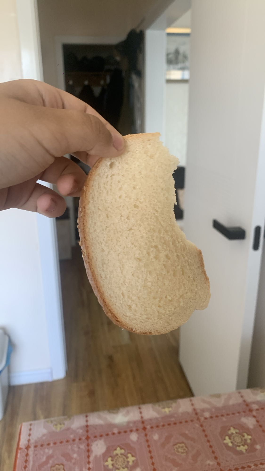 Plain White Bread Slice