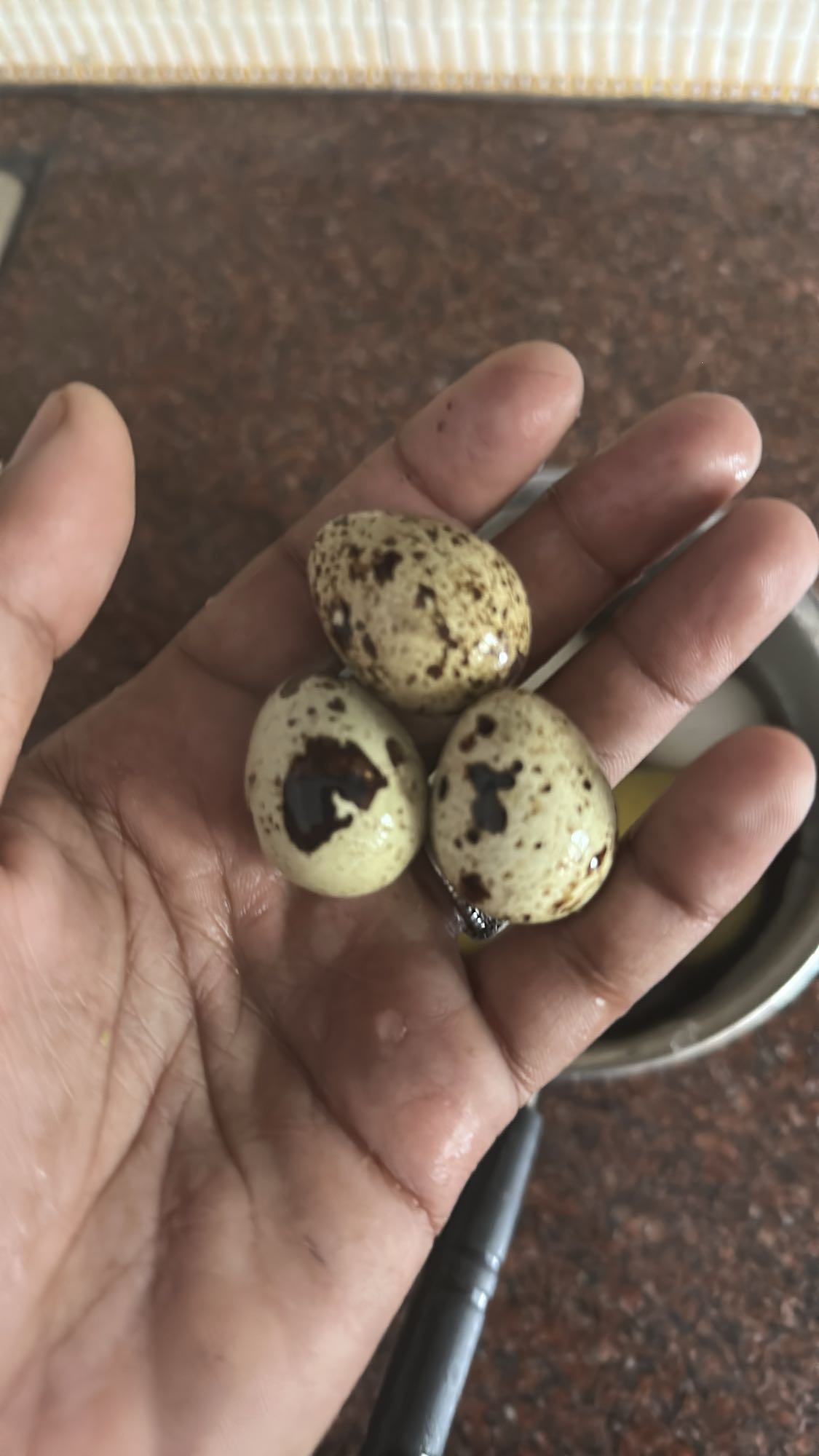 Boiled Quail Eggs