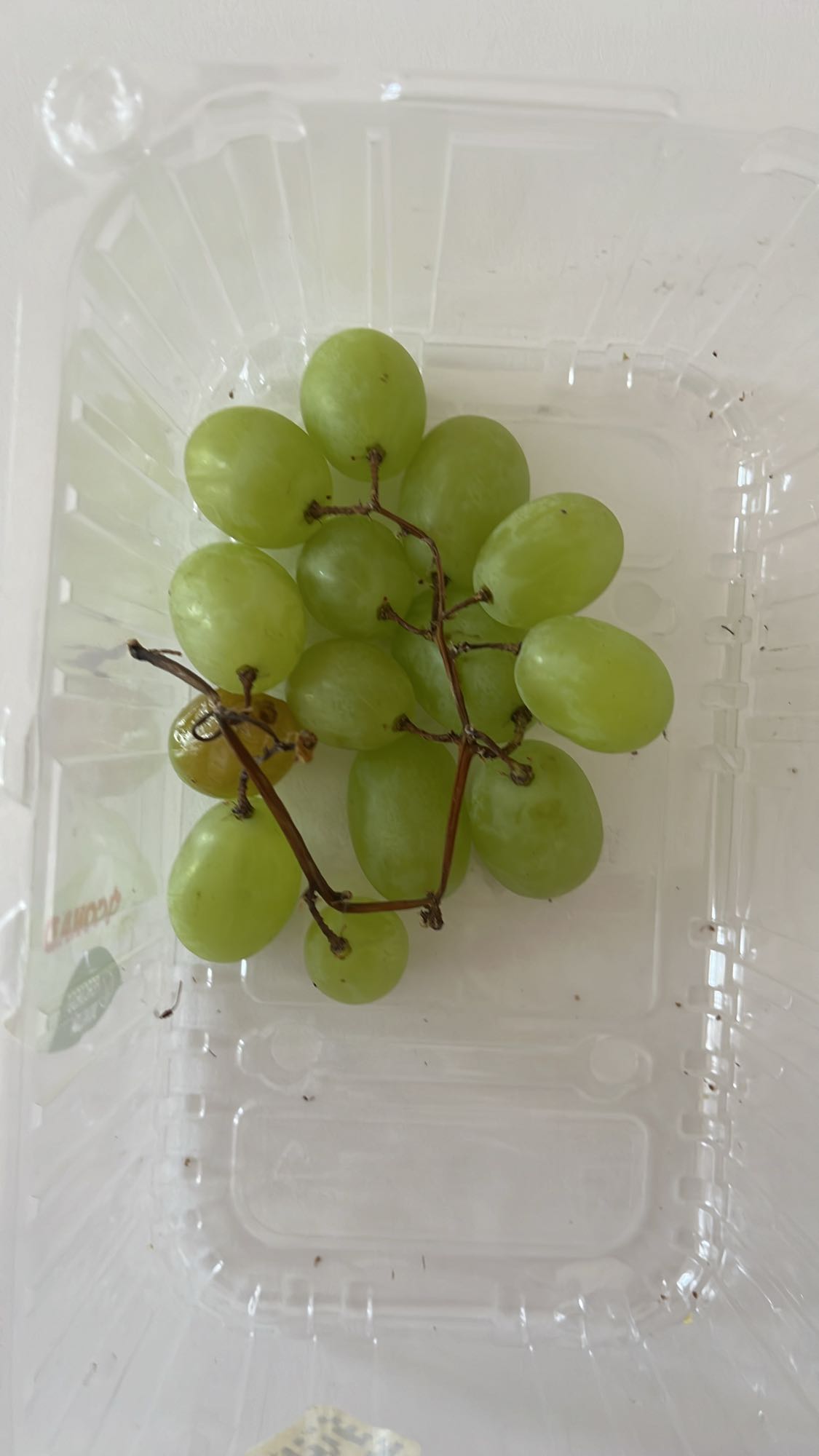 Yeşil Üzüm Atıştırmalık