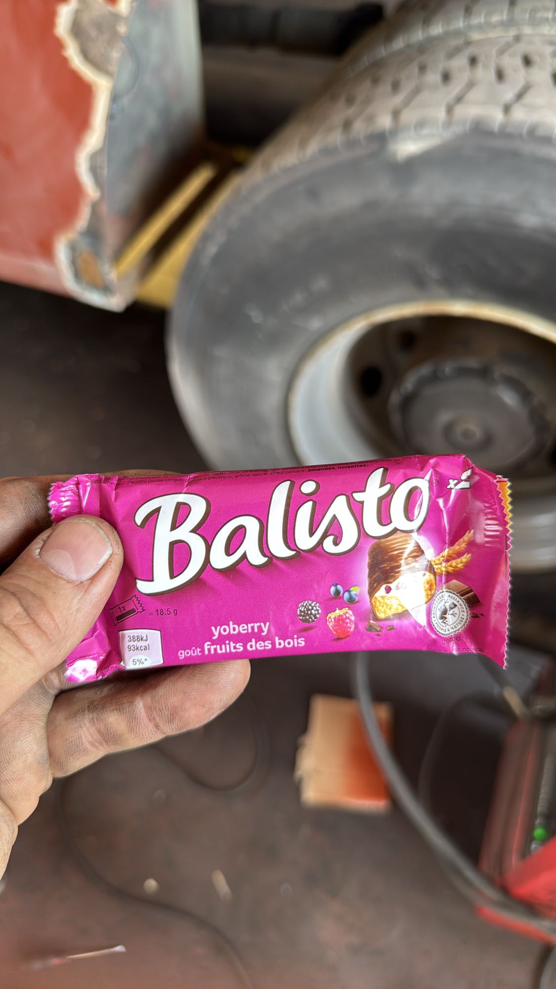 Balisto Yoberry Fruits des Bois